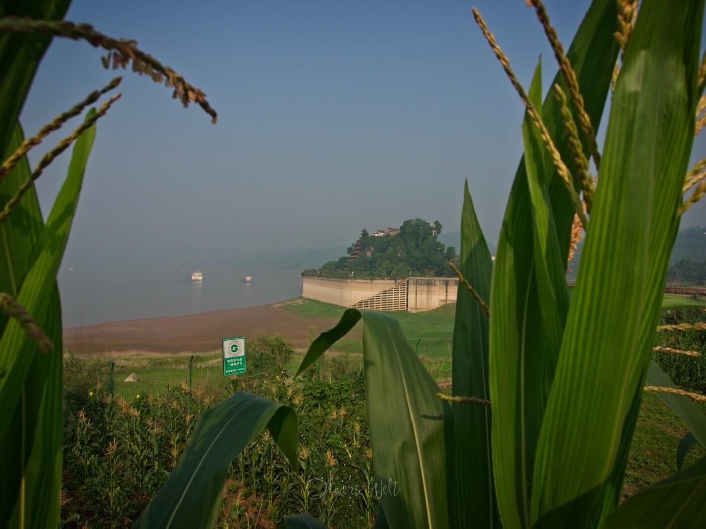 Bild ohne Beschreibung