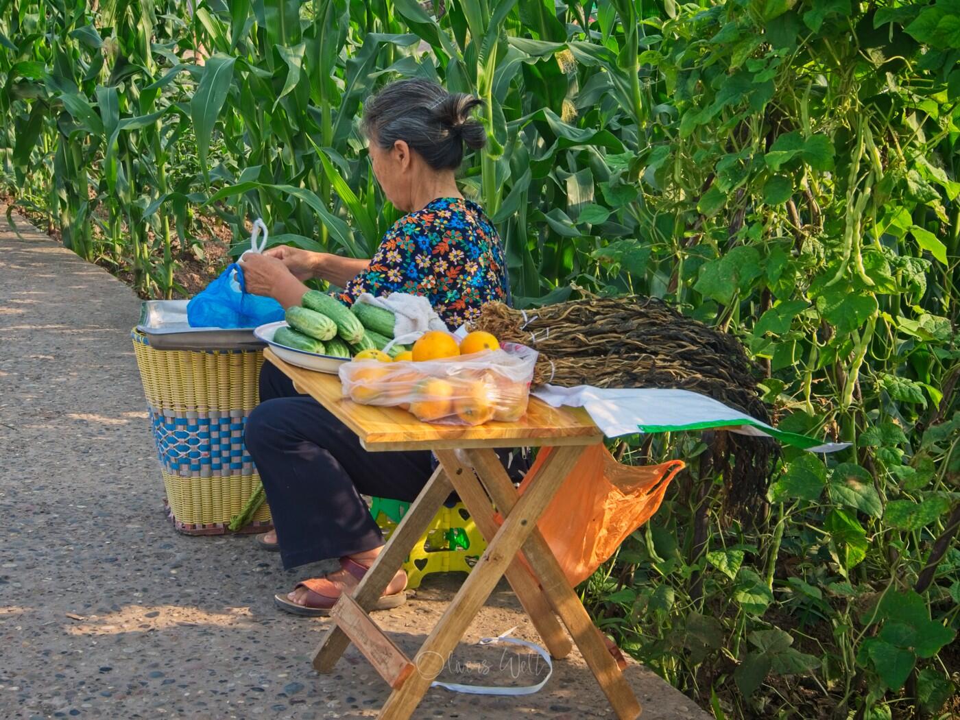 Bild ohne Beschreibung