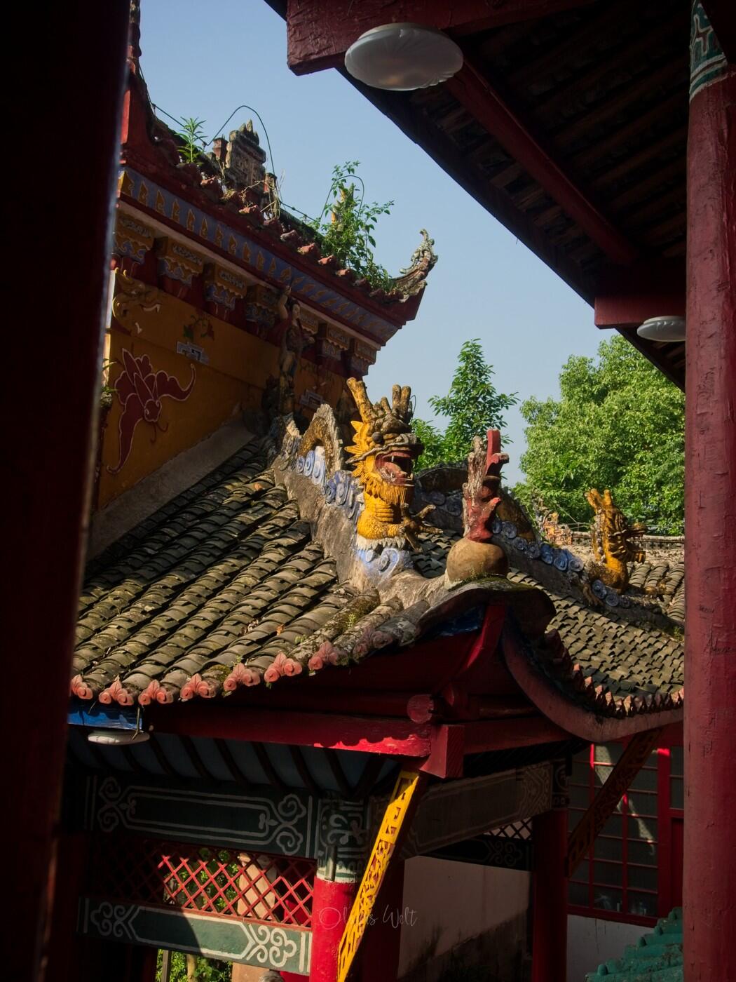 Bild ohne Beschreibung