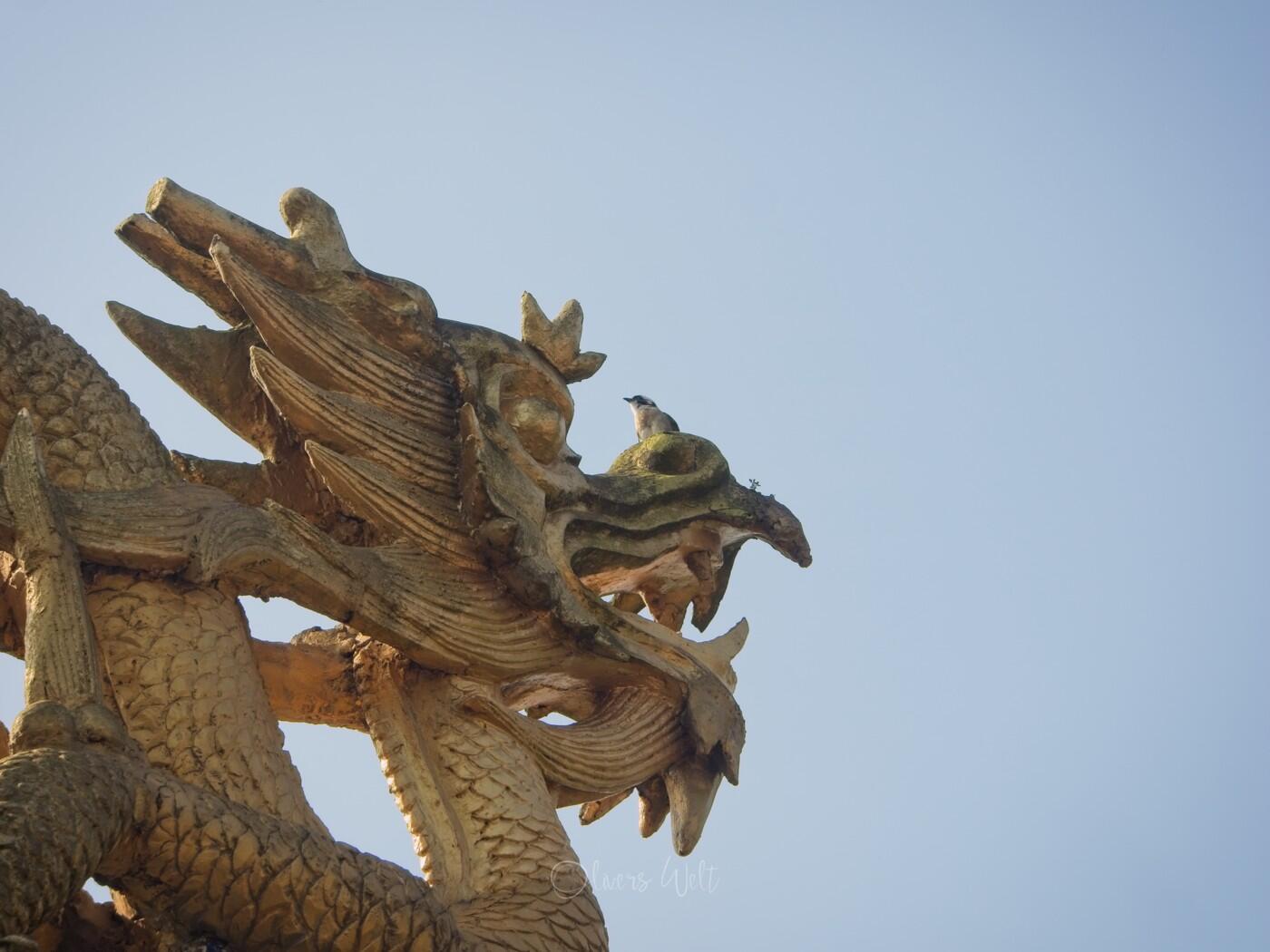 Bild ohne Beschreibung