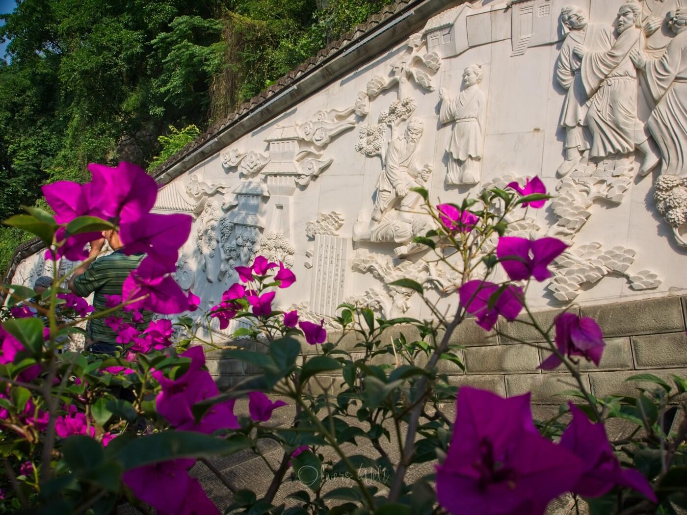 Bild ohne Beschreibung