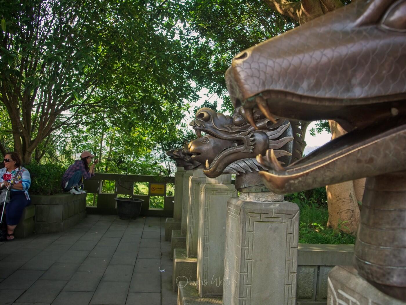 Bild ohne Beschreibung