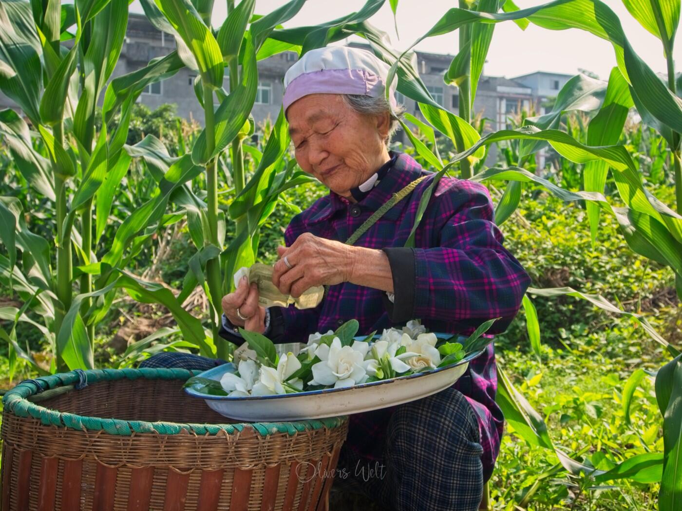 Bild ohne Beschreibung