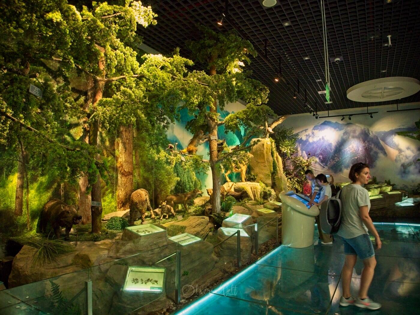 Bild ohne Beschreibung Bild ohne Beschreibung