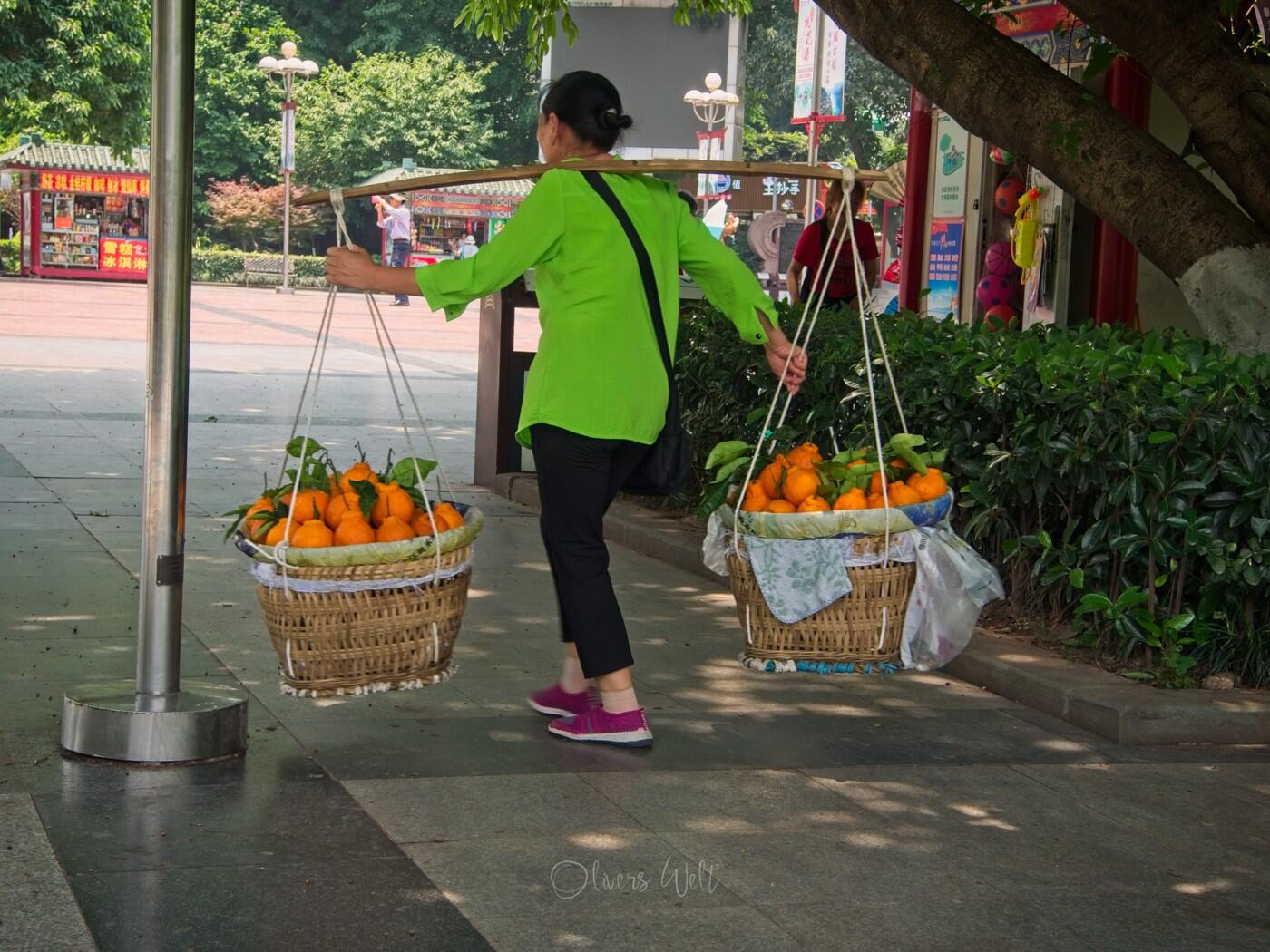 Bild ohne Beschreibung Bild ohne Beschreibung