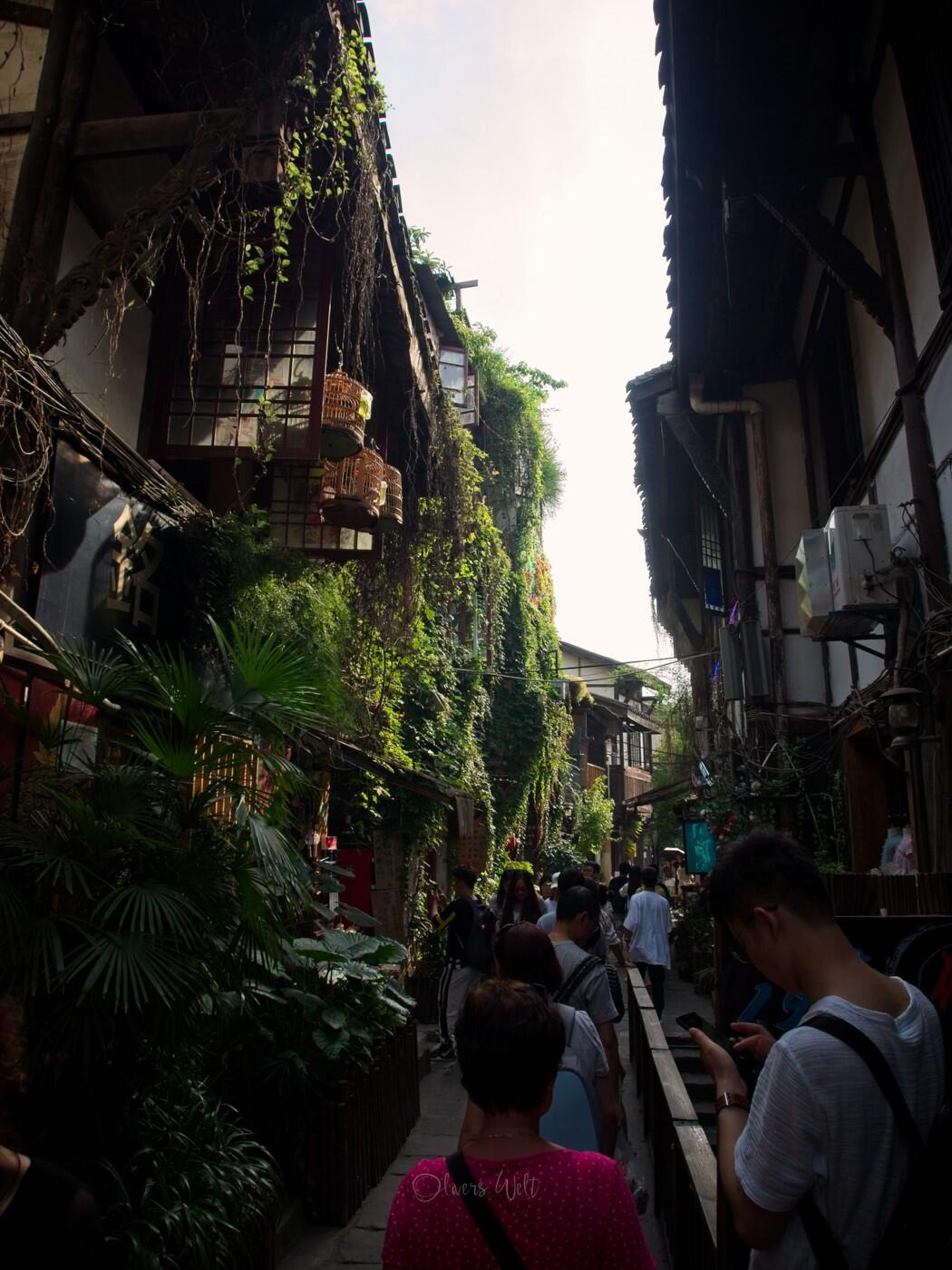 Bild ohne Beschreibung Bild ohne Beschreibung