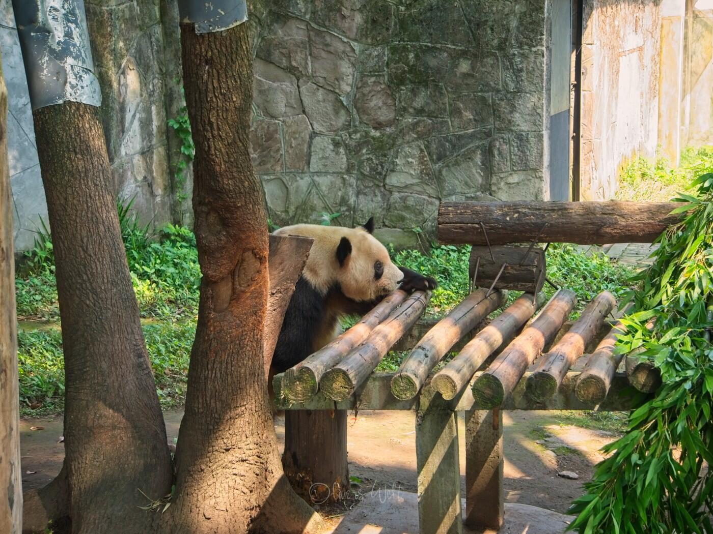 Bild ohne Beschreibung Bild ohne Beschreibung