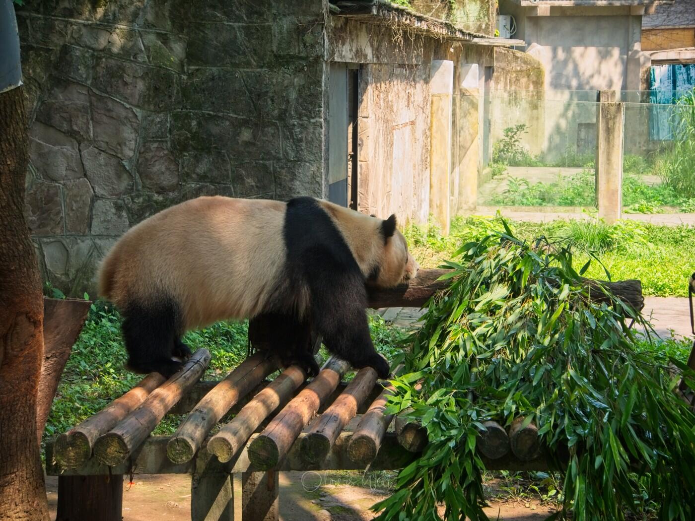 Bild ohne Beschreibung Bild ohne Beschreibung