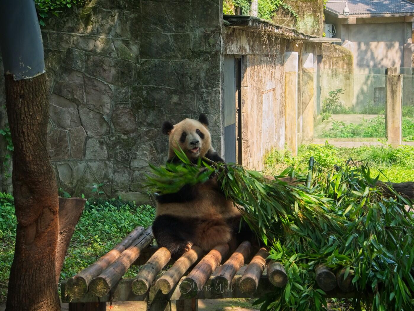 Bild ohne Beschreibung Bild ohne Beschreibung