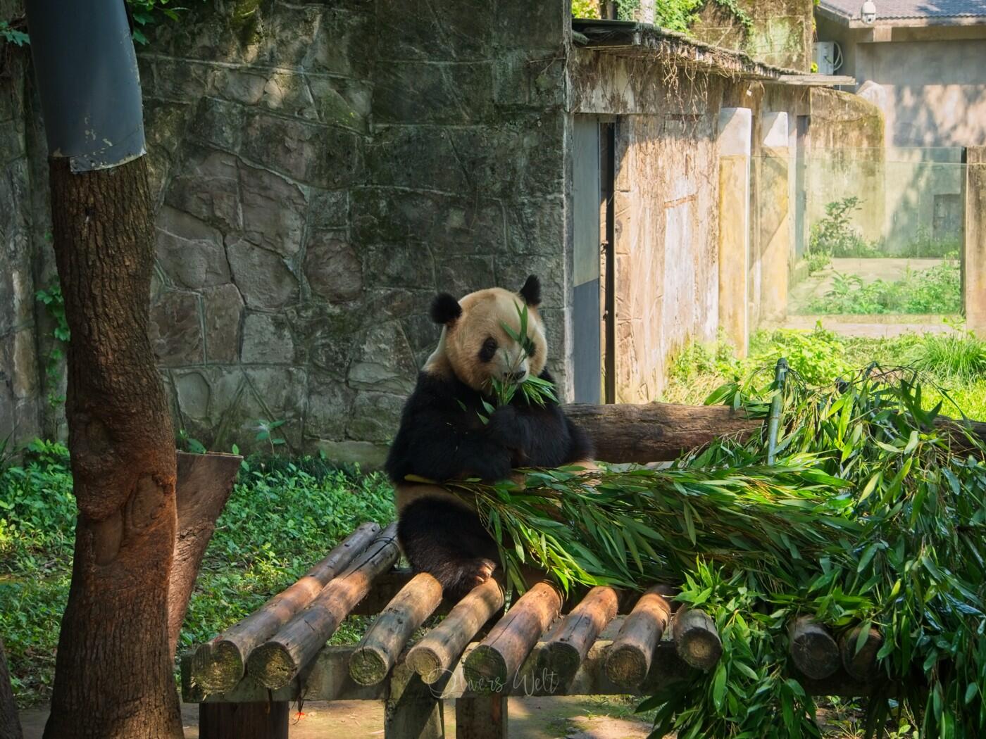 Bild ohne Beschreibung Bild ohne Beschreibung