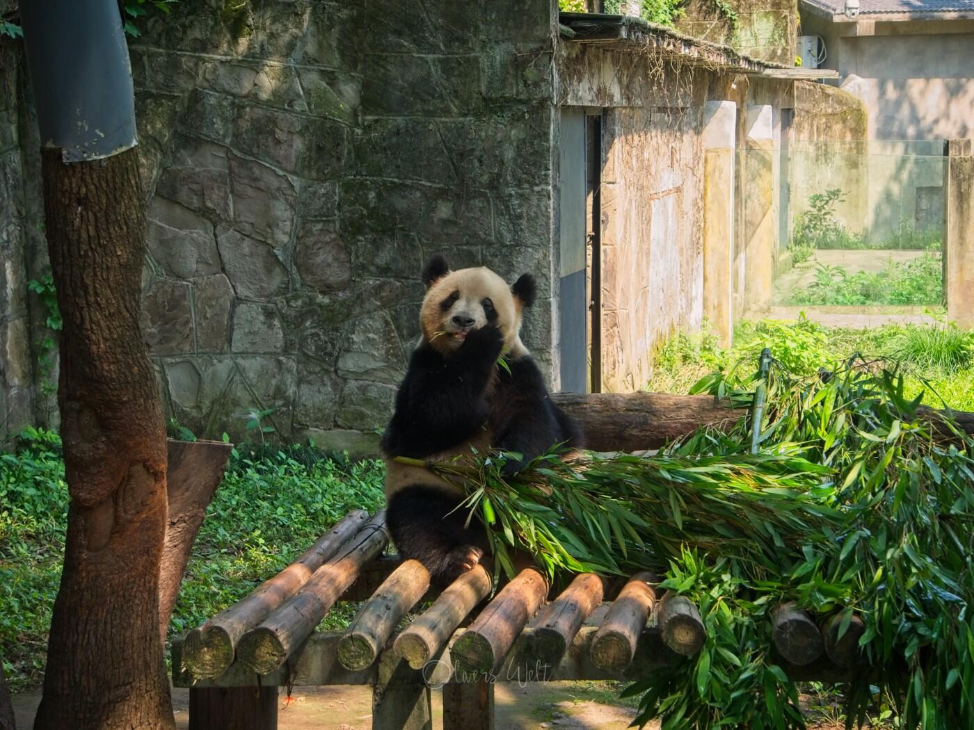 Bild ohne Beschreibung Bild ohne Beschreibung