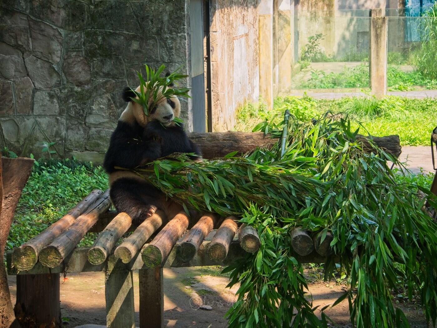 Bild ohne Beschreibung Bild ohne Beschreibung