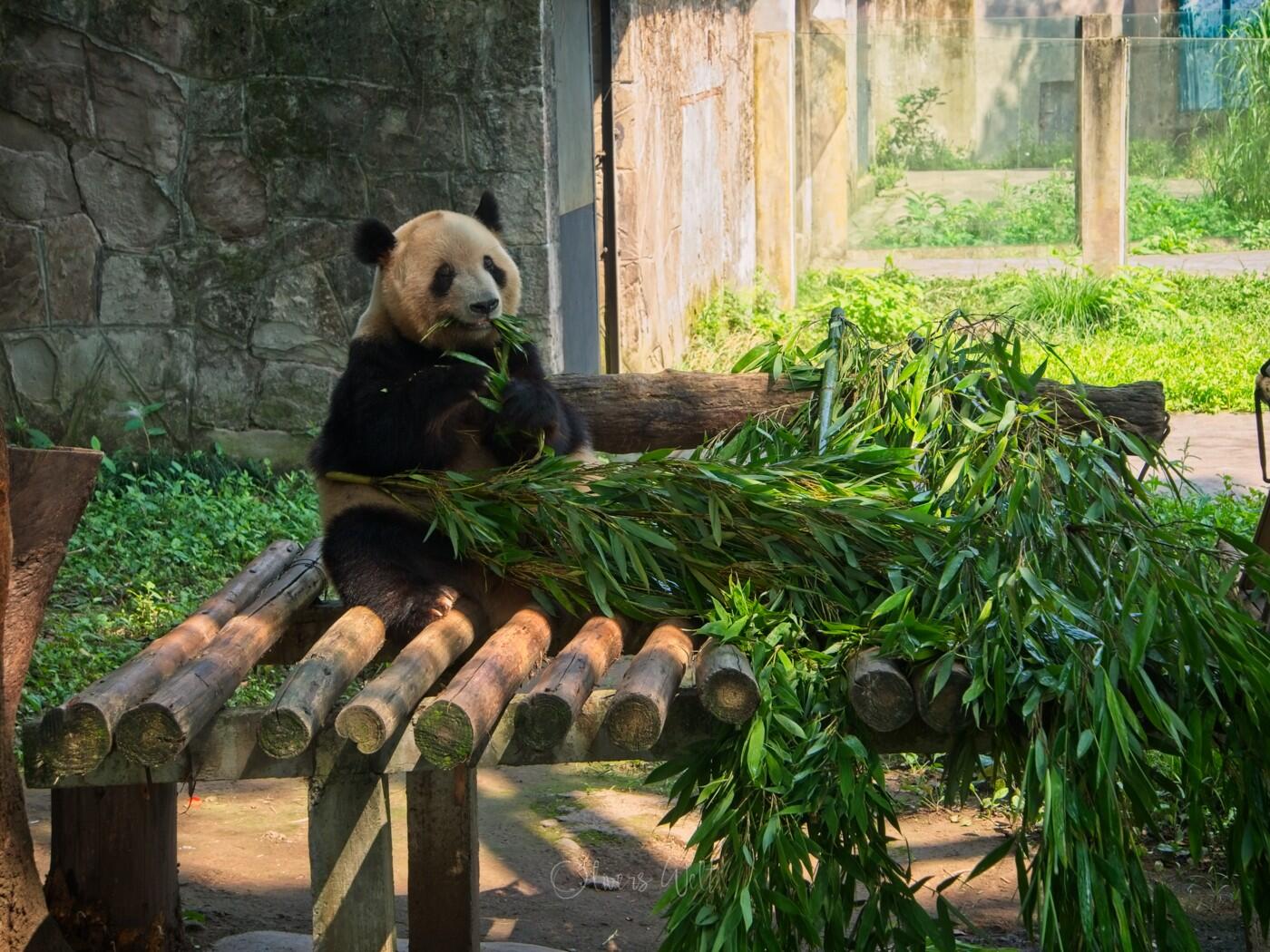 Bild ohne Beschreibung Bild ohne Beschreibung