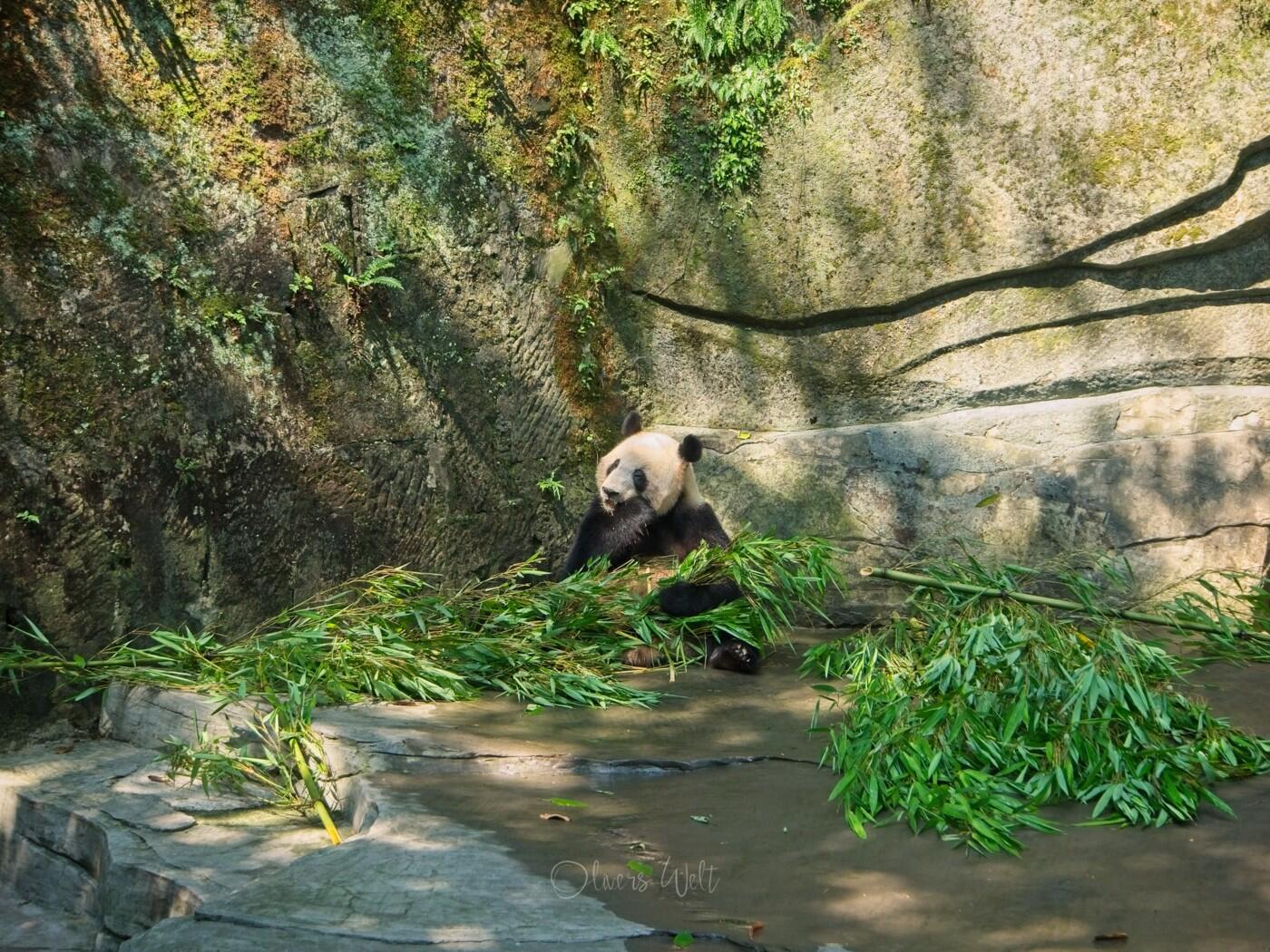 Bild ohne Beschreibung Bild ohne Beschreibung