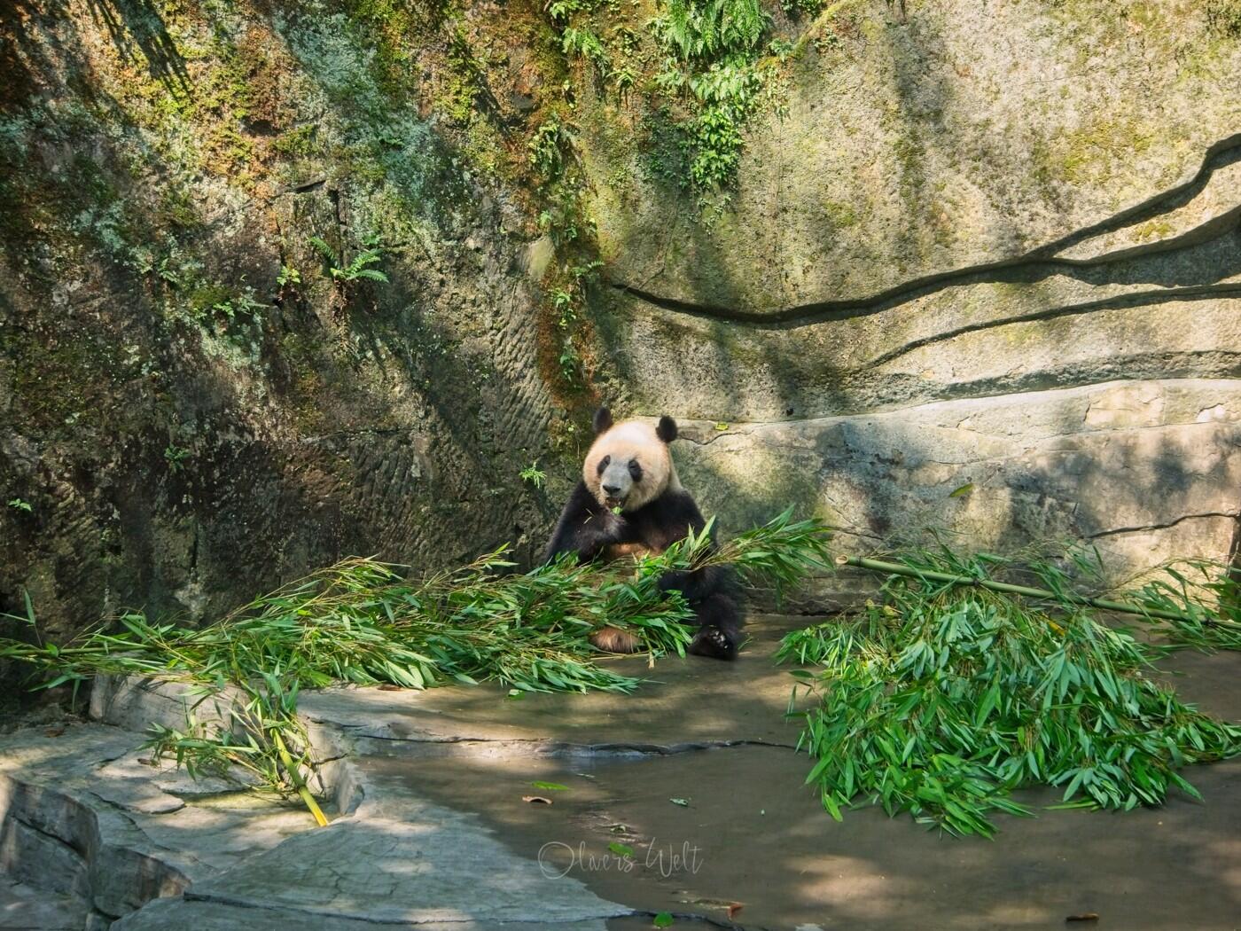 Bild ohne Beschreibung Bild ohne Beschreibung