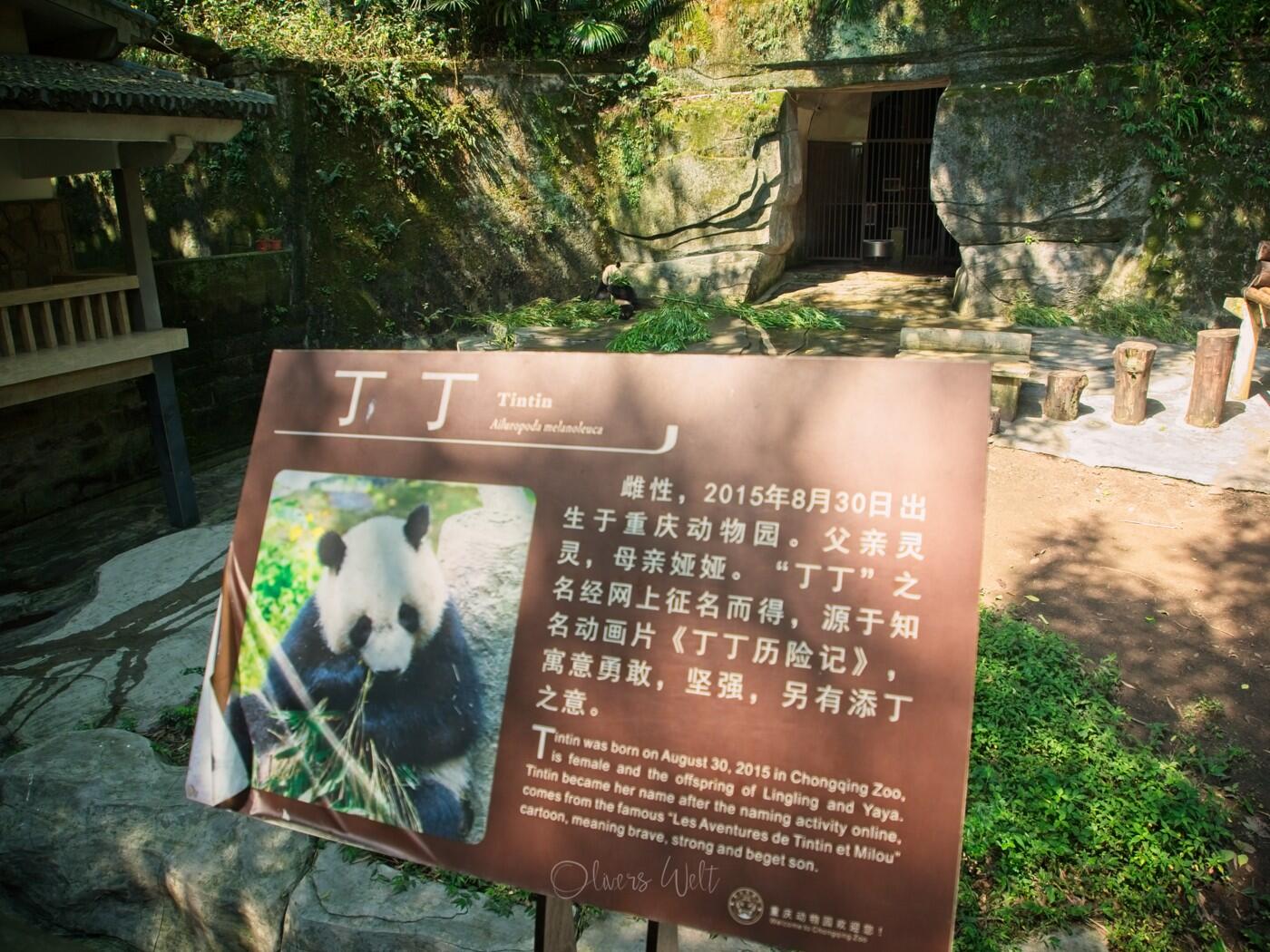 Bild ohne Beschreibung Bild ohne Beschreibung