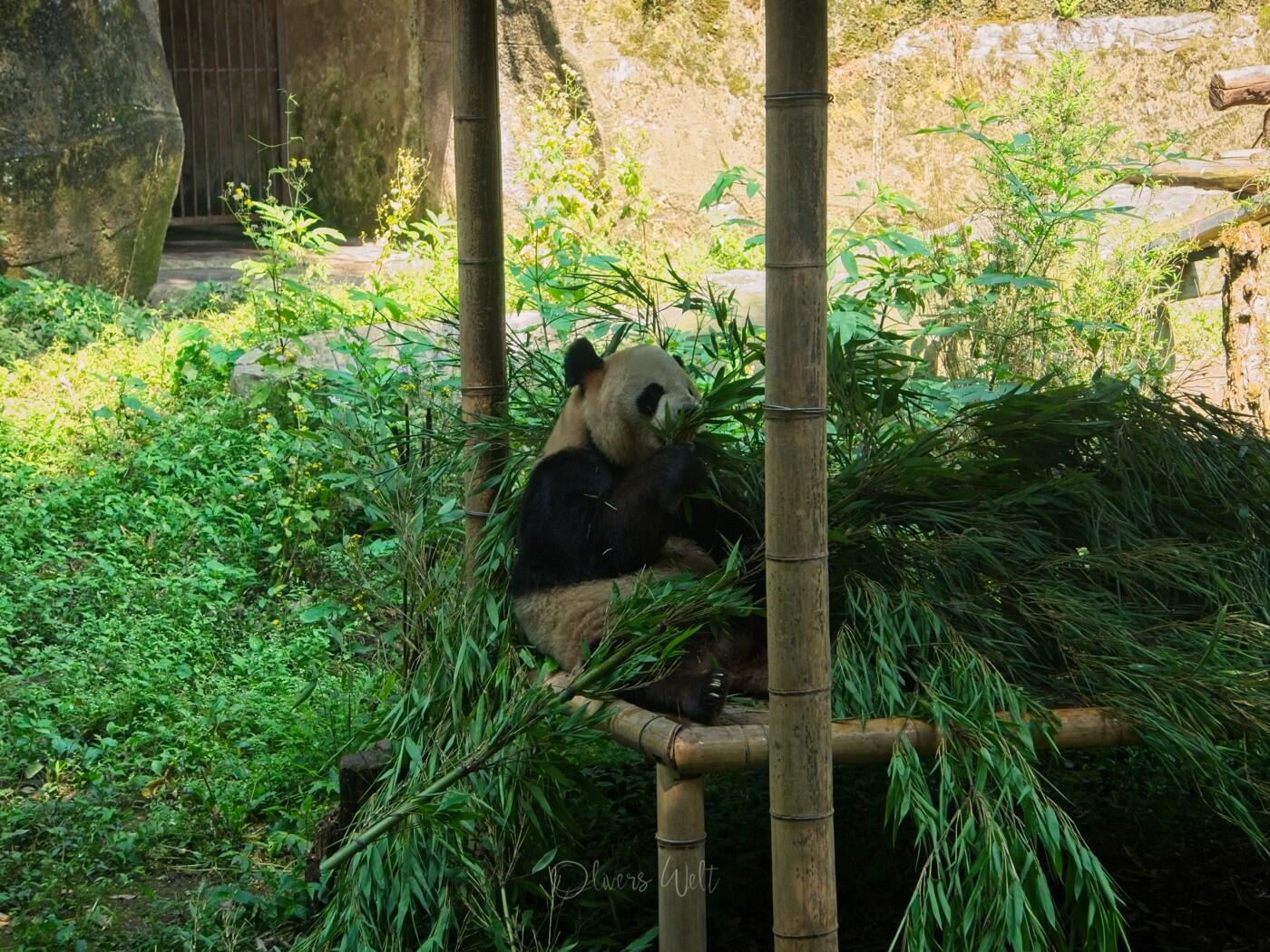 Bild ohne Beschreibung Bild ohne Beschreibung