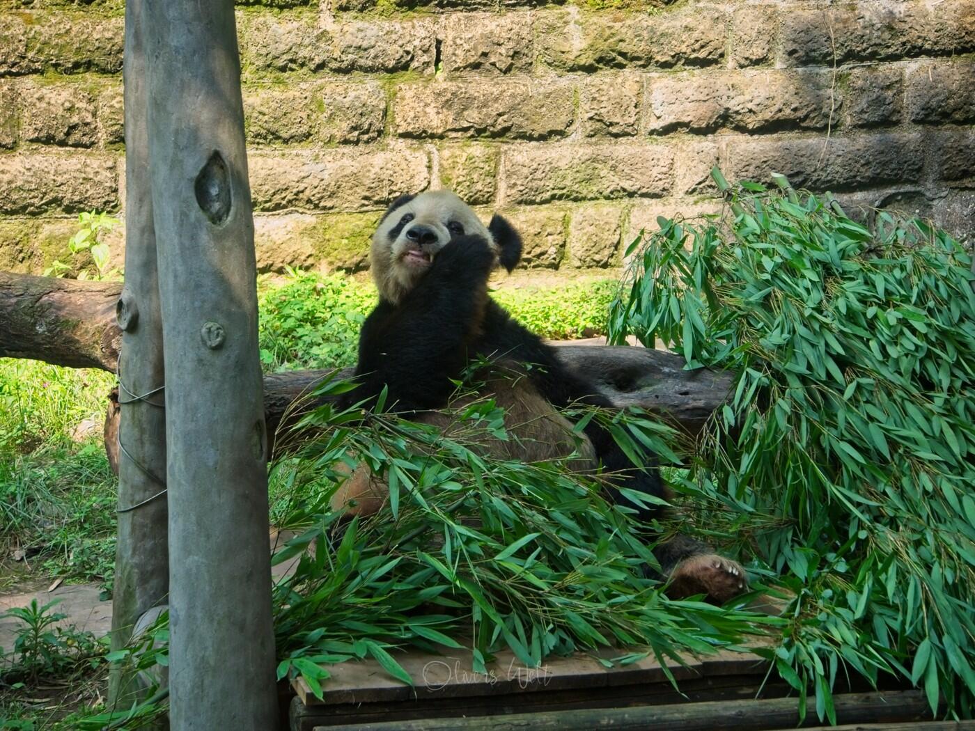 Bild ohne Beschreibung Bild ohne Beschreibung