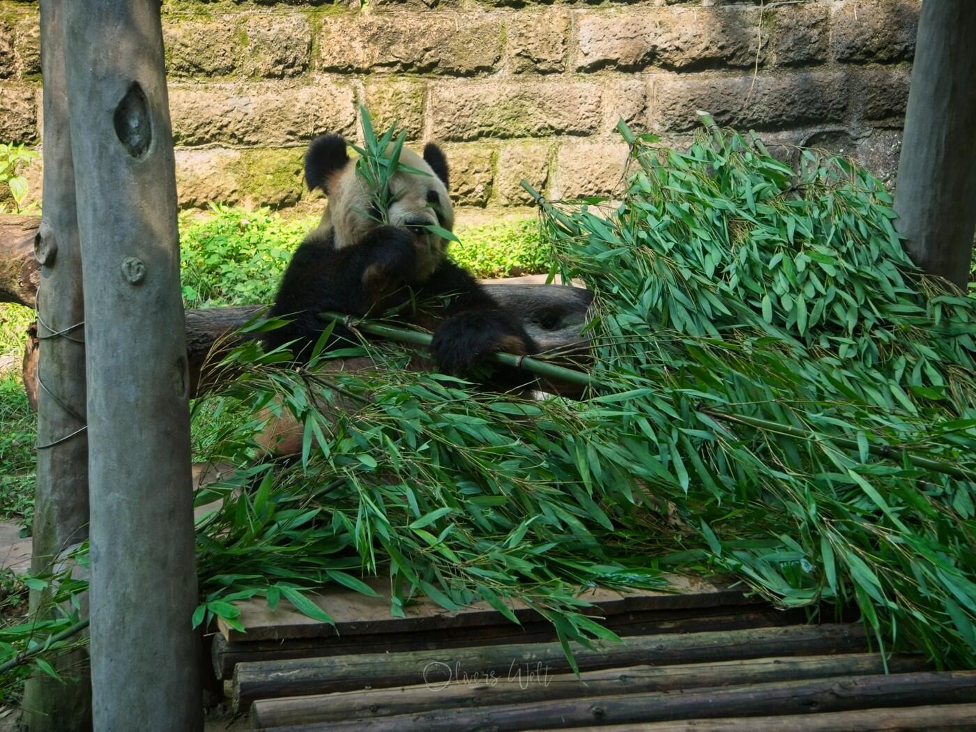 Bild ohne Beschreibung Bild ohne Beschreibung