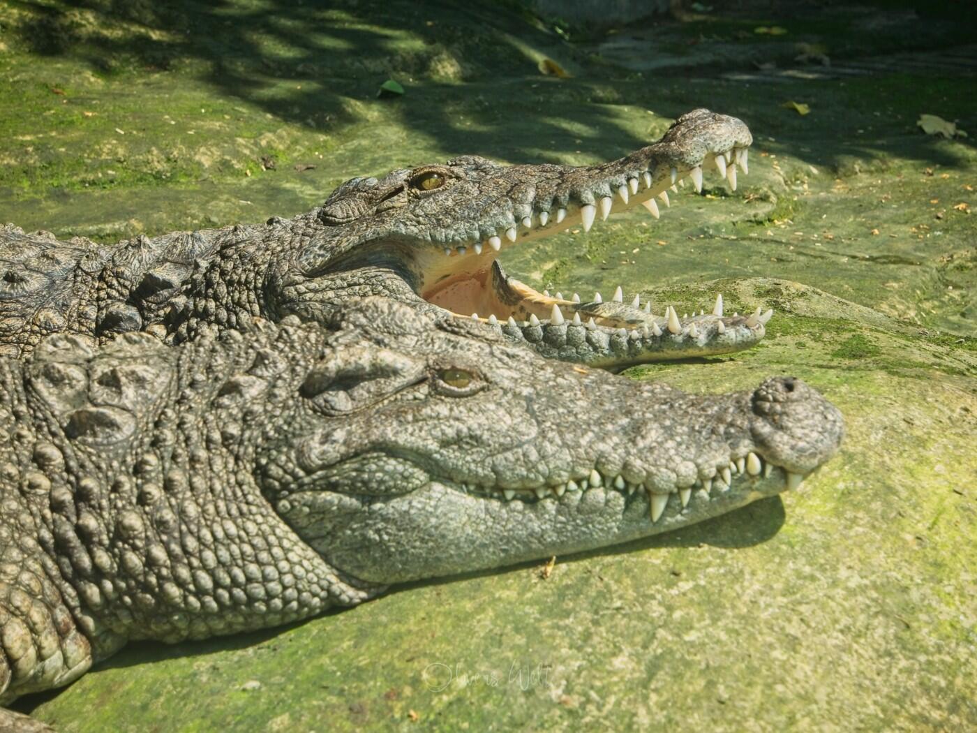 Bild ohne Beschreibung Bild ohne Beschreibung