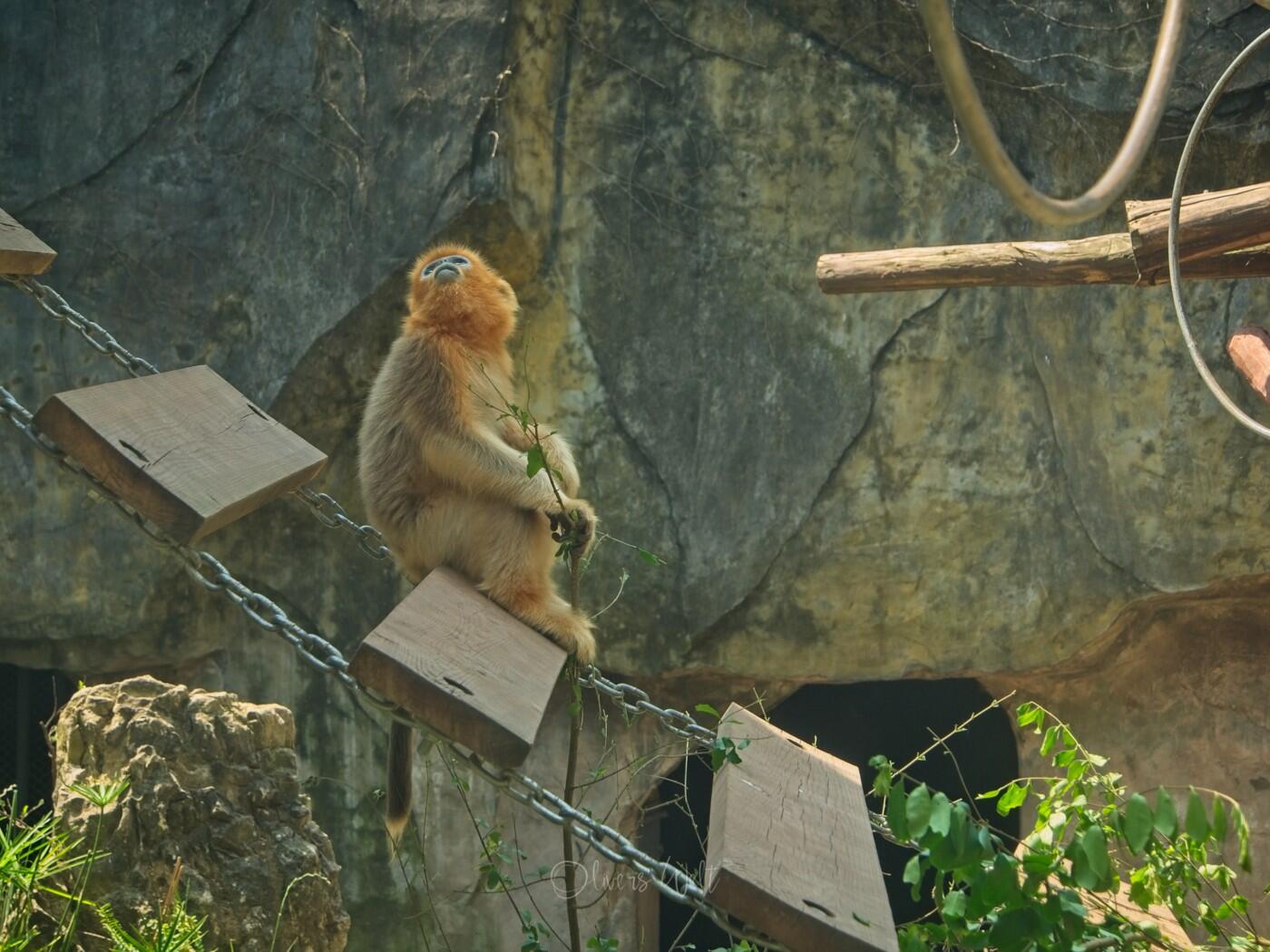 Bild ohne Beschreibung Bild ohne Beschreibung
