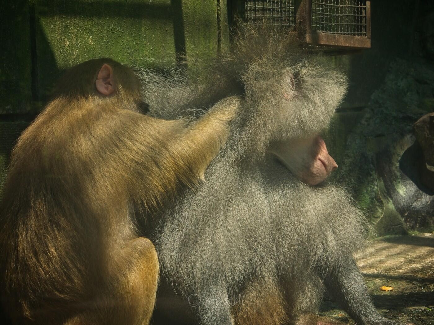 Bild ohne Beschreibung Bild ohne Beschreibung