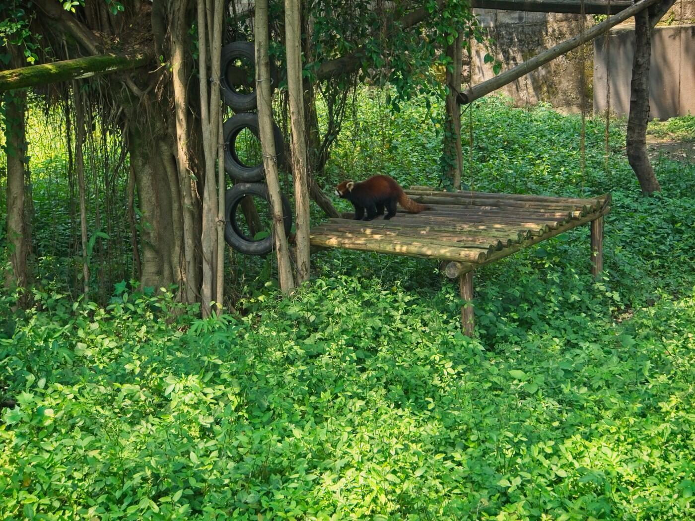 Bild ohne Beschreibung Bild ohne Beschreibung