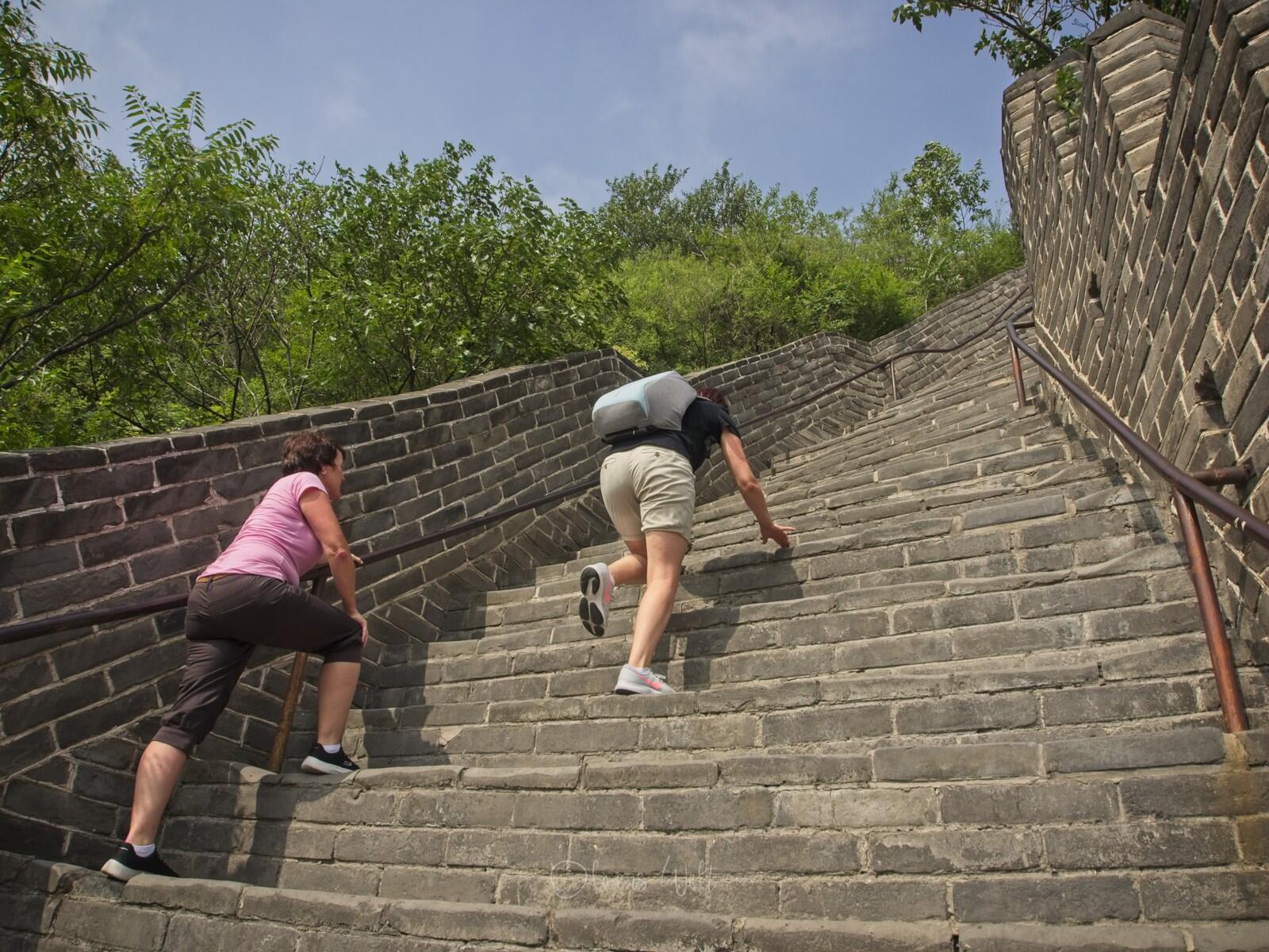 Bild ohne Beschreibung Bild ohne Beschreibung