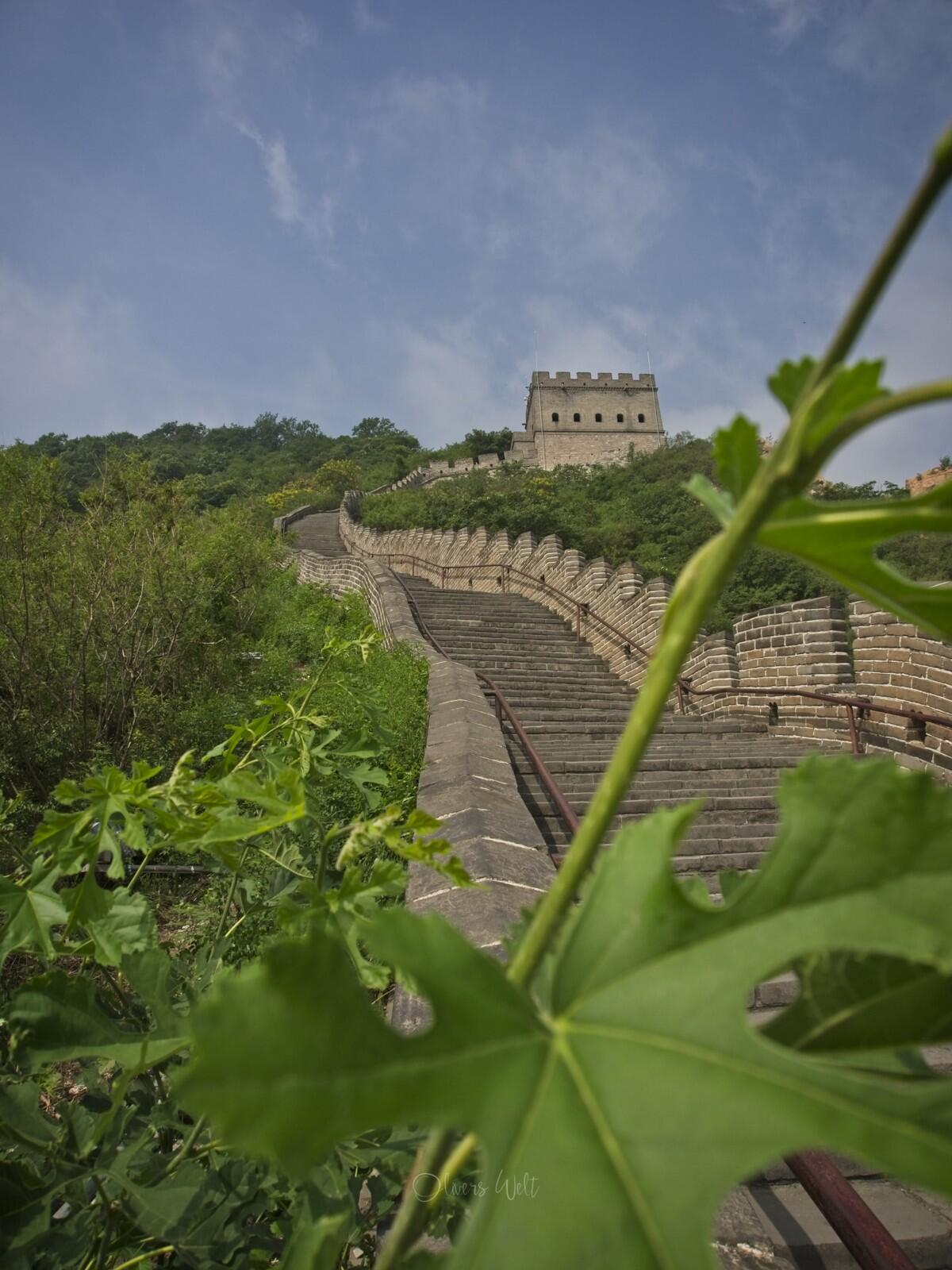 Bild ohne Beschreibung Bild ohne Beschreibung