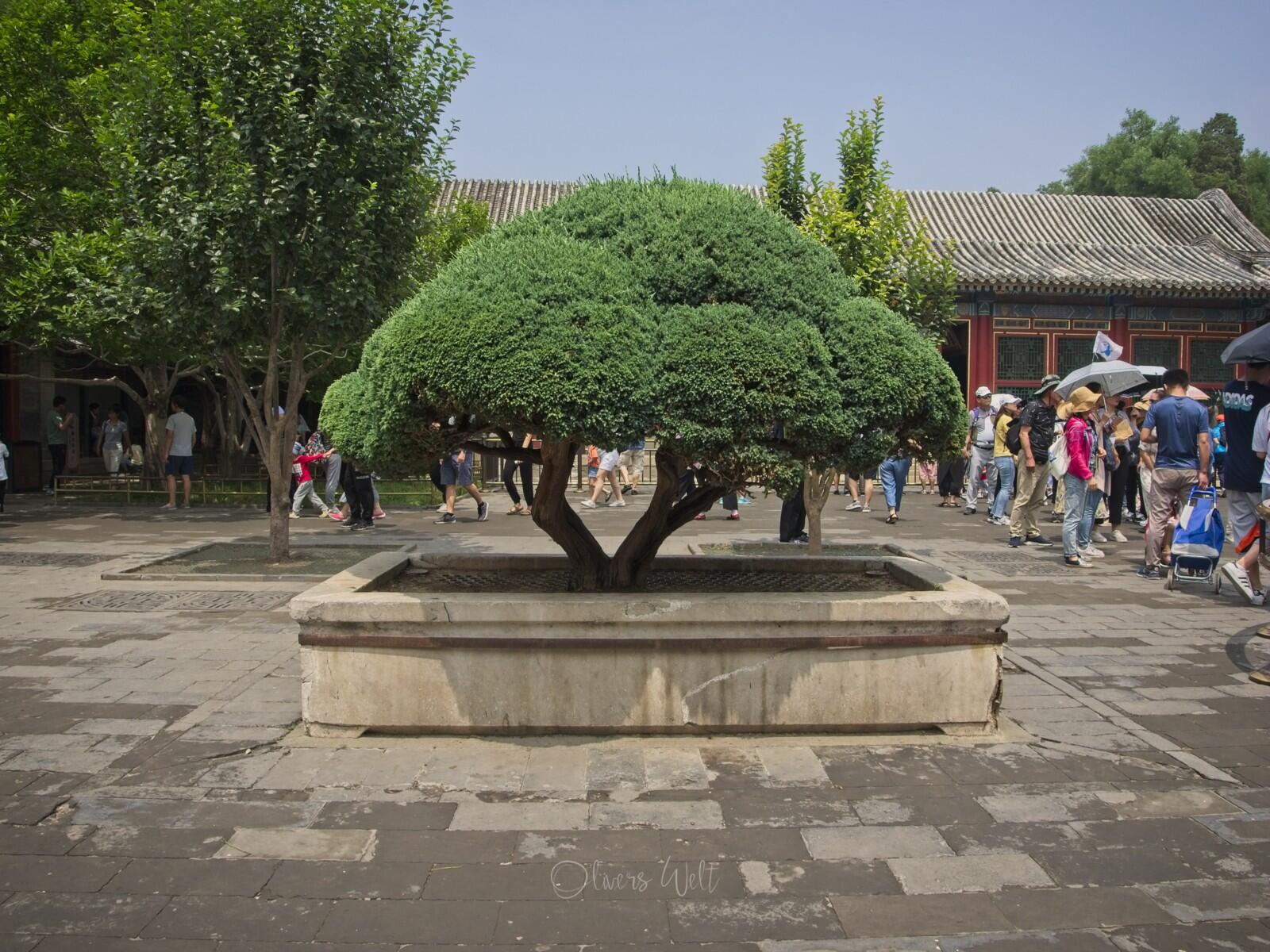 Bild ohne Beschreibung Bild ohne Beschreibung