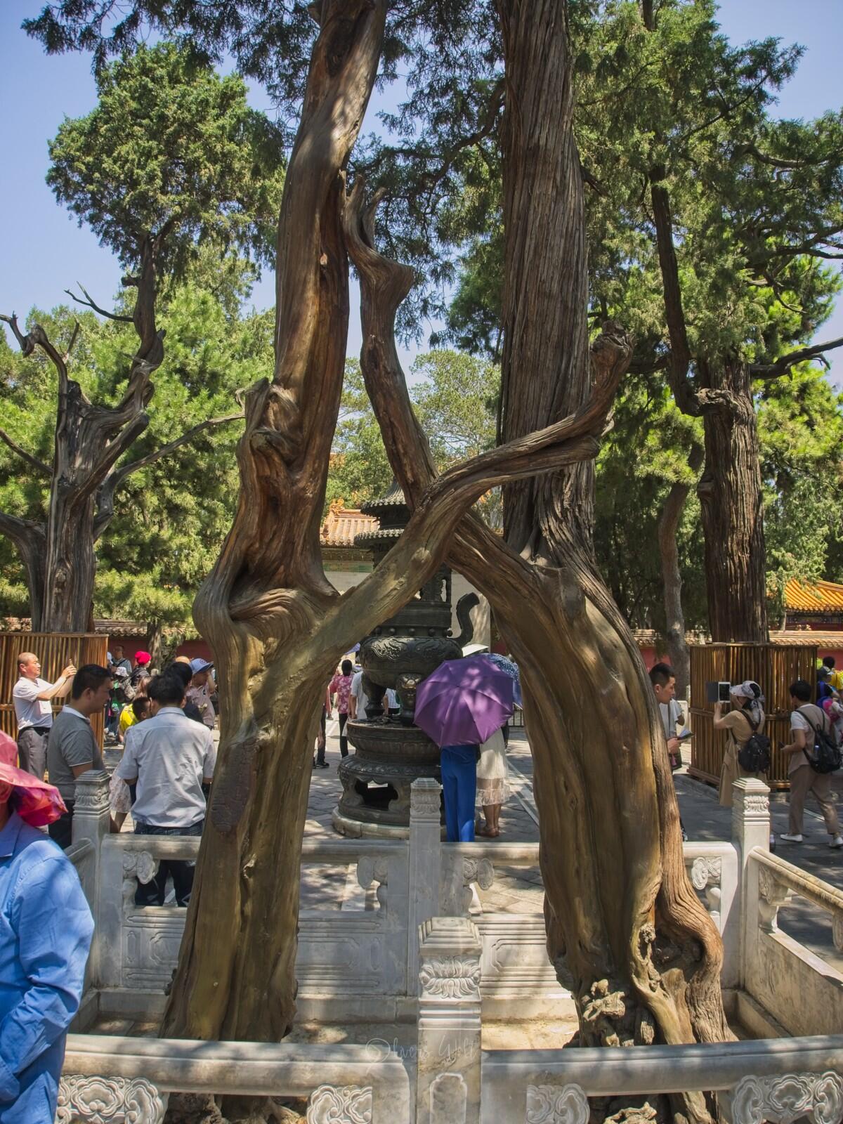 Bild ohne Beschreibung Bild ohne Beschreibung