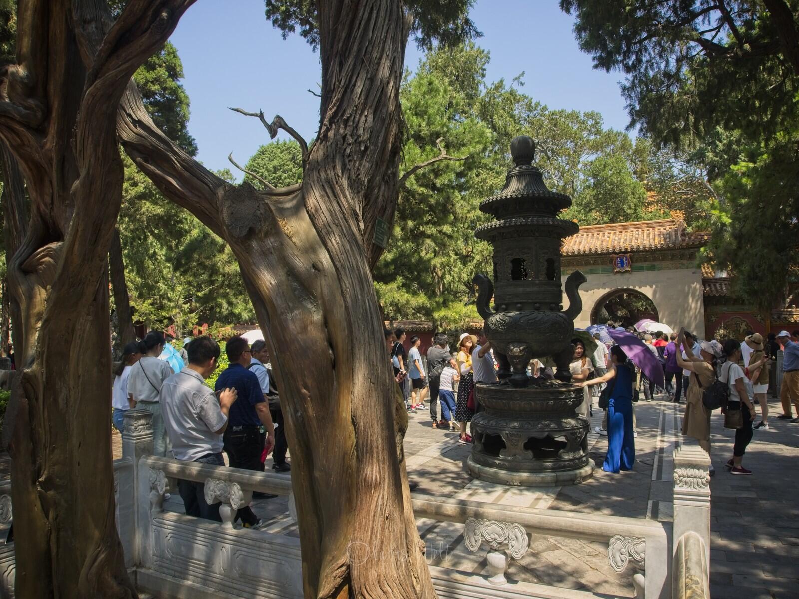 Bild ohne Beschreibung Bild ohne Beschreibung