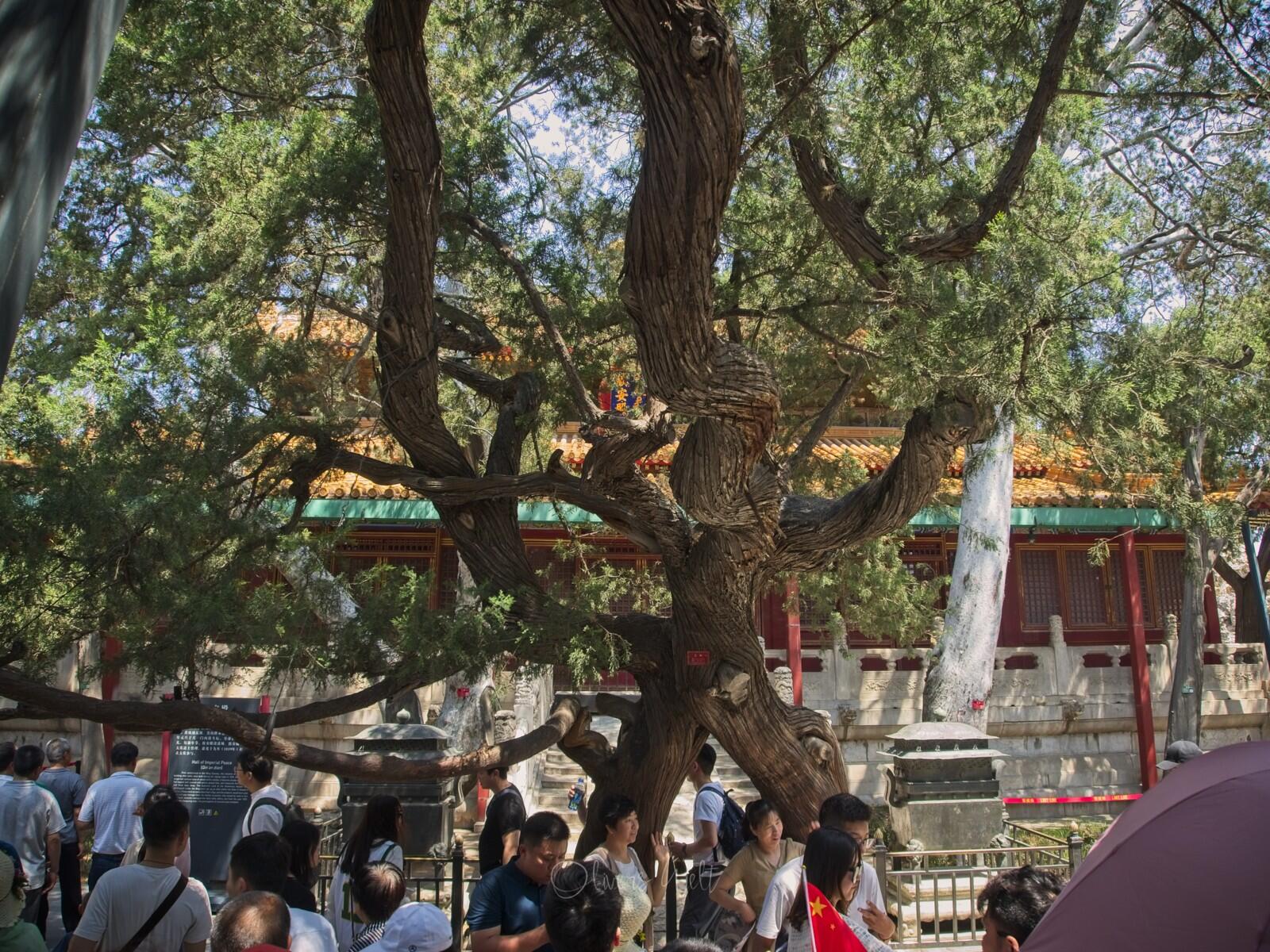 Bild ohne Beschreibung Bild ohne Beschreibung