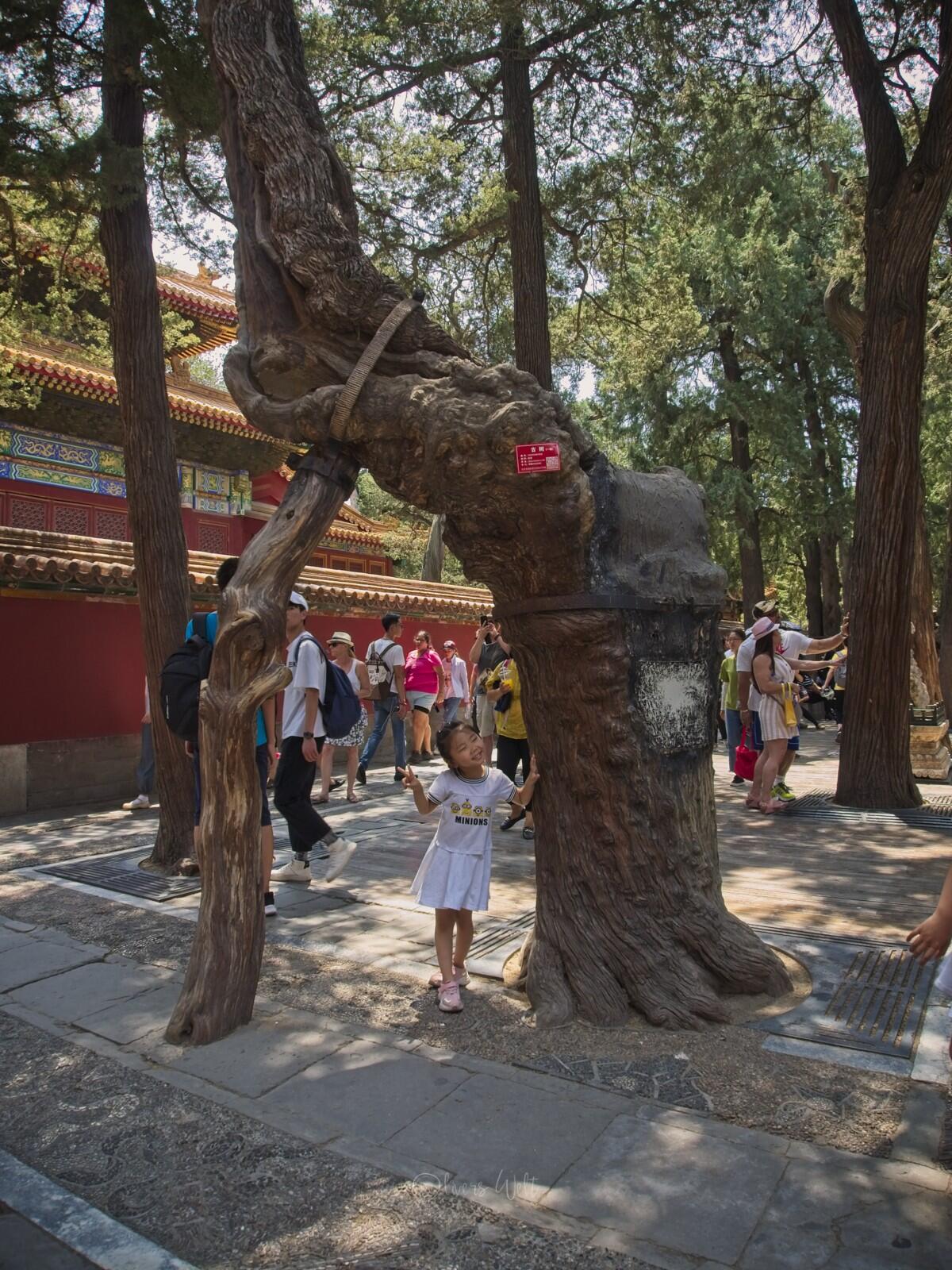 Bild ohne Beschreibung Bild ohne Beschreibung