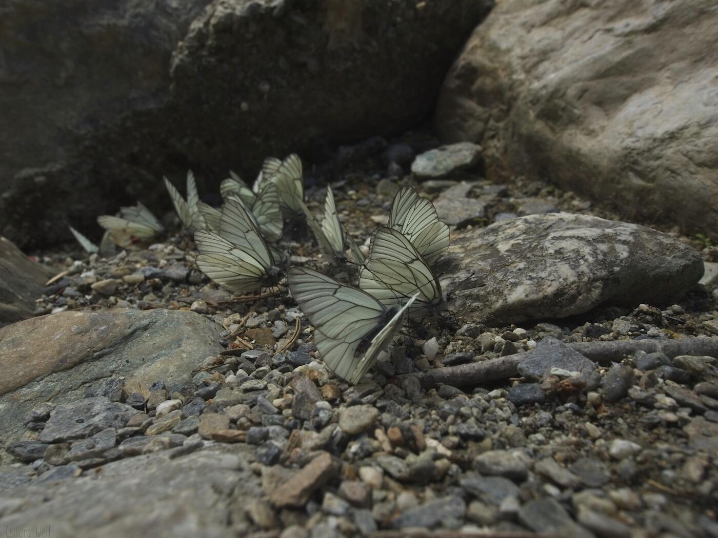 Bild ohne Beschreibung Bild ohne Beschreibung