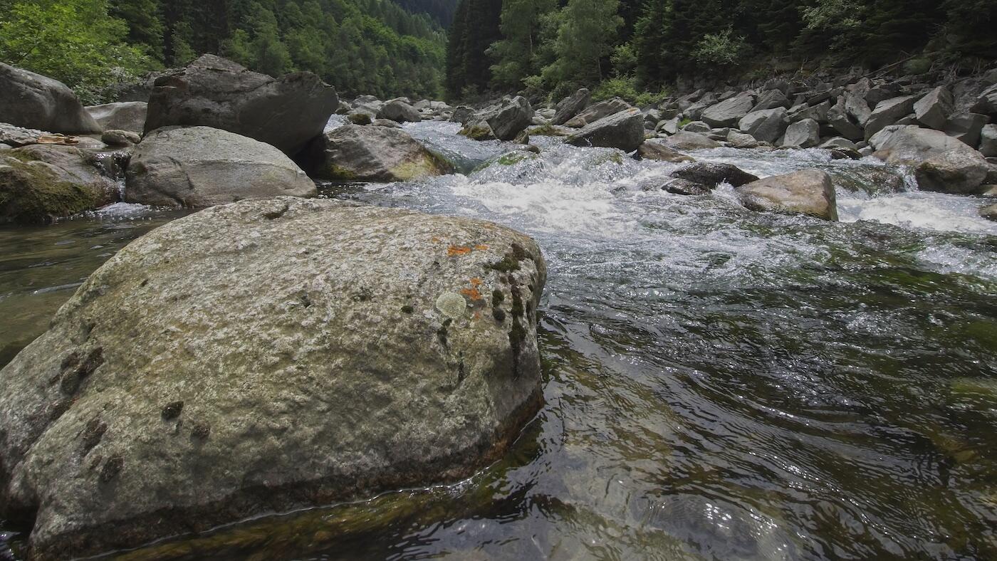 Bild ohne Beschreibung Bild ohne Beschreibung