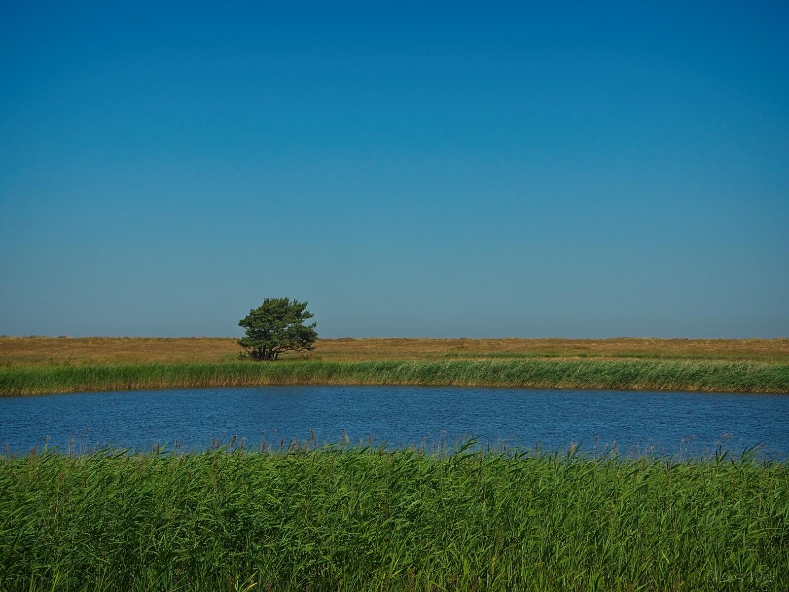 Bild ohne Beschreibung Bild ohne Beschreibung