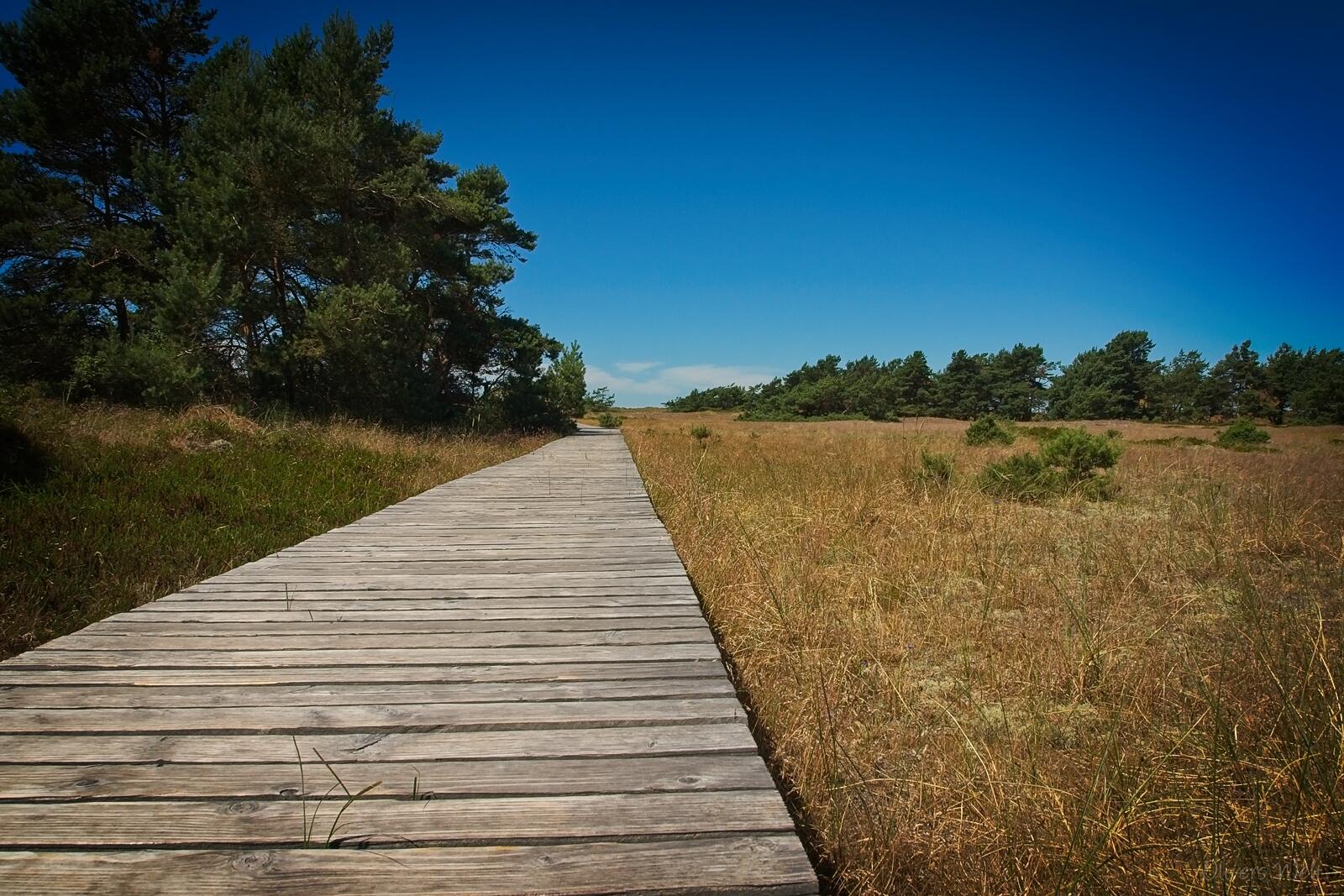 Bild ohne Beschreibung Bild ohne Beschreibung