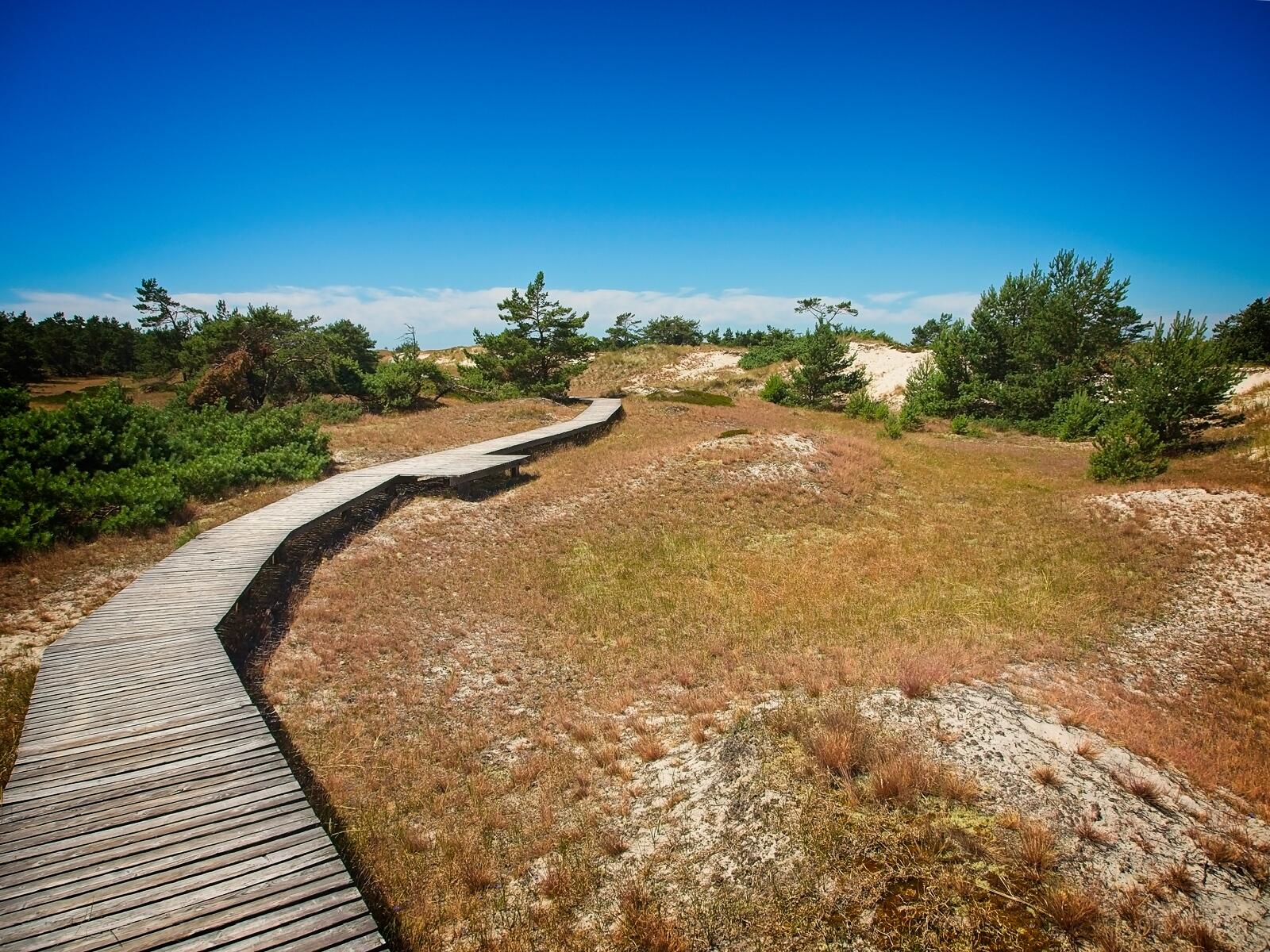 Bild ohne Beschreibung Bild ohne Beschreibung