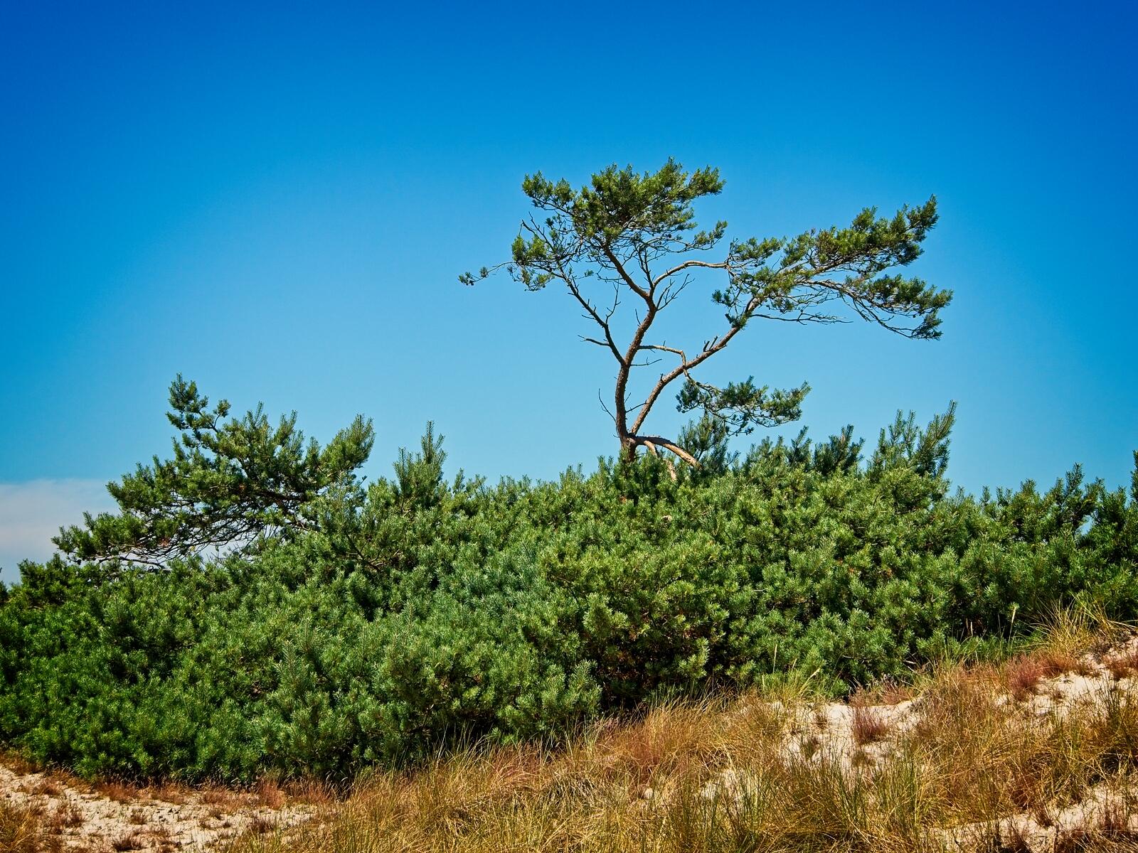 Bild ohne Beschreibung Bild ohne Beschreibung