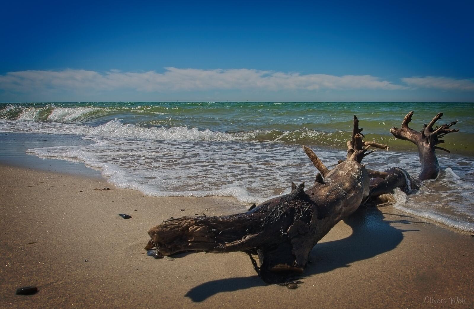 Bild ohne Beschreibung Bild ohne Beschreibung
