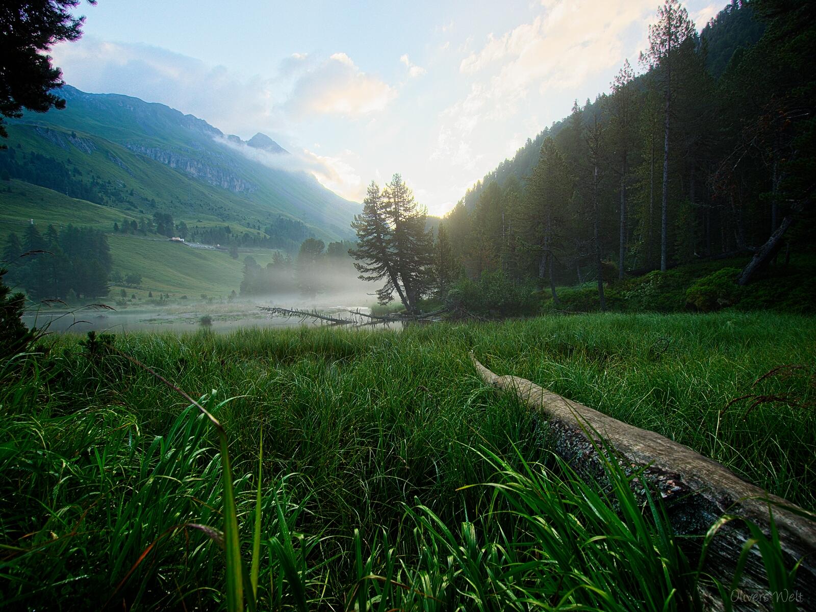 Bild ohne Beschreibung Bild ohne Beschreibung