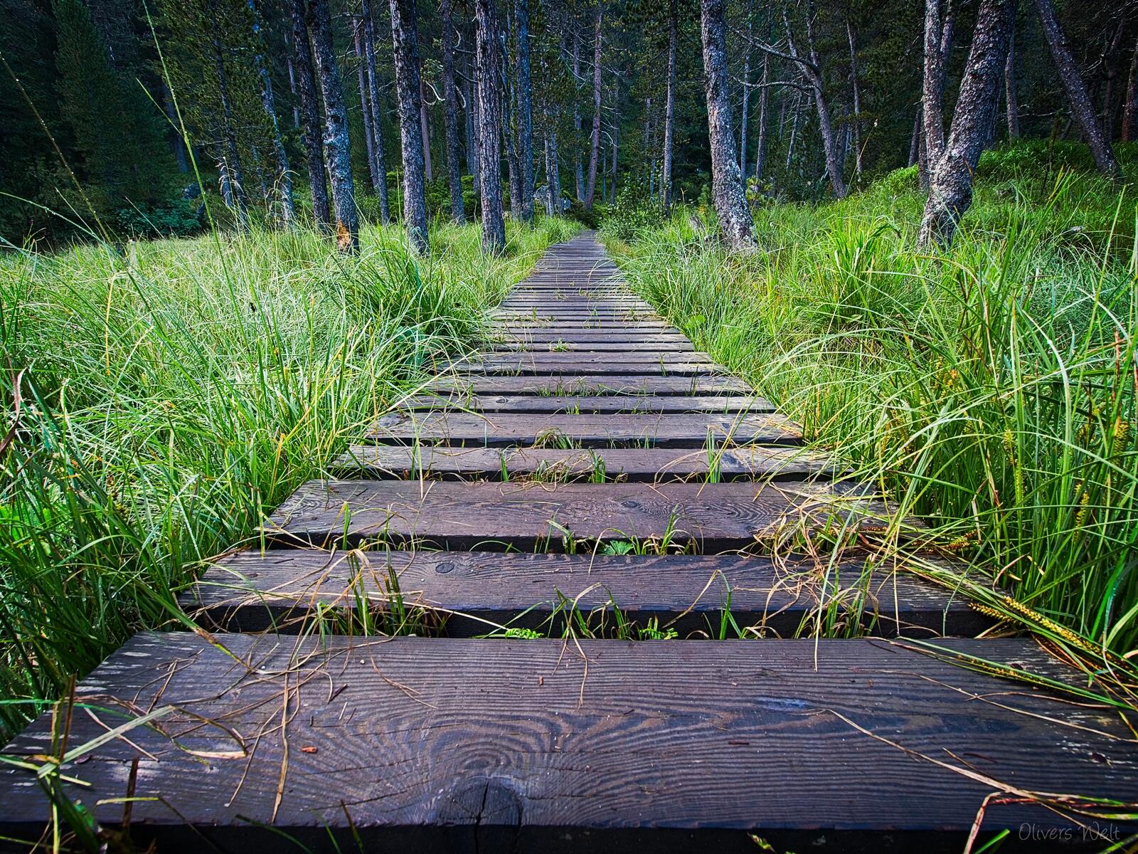 Bild ohne Beschreibung Bild ohne Beschreibung