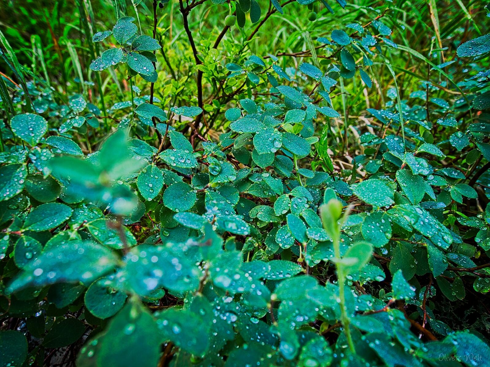 Bild ohne Beschreibung Bild ohne Beschreibung