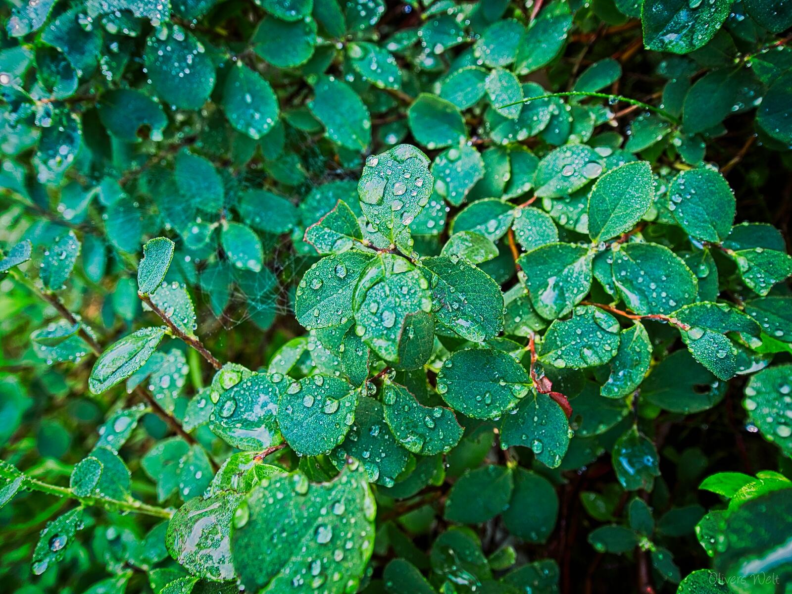 Bild ohne Beschreibung Bild ohne Beschreibung