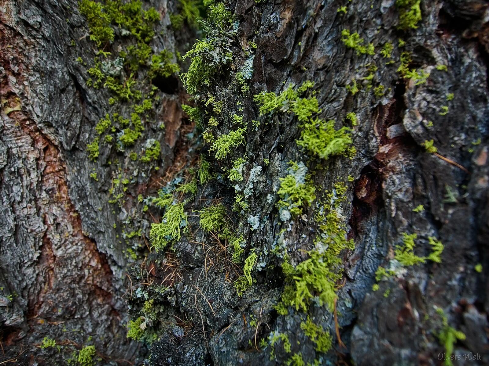 Bild ohne Beschreibung Bild ohne Beschreibung