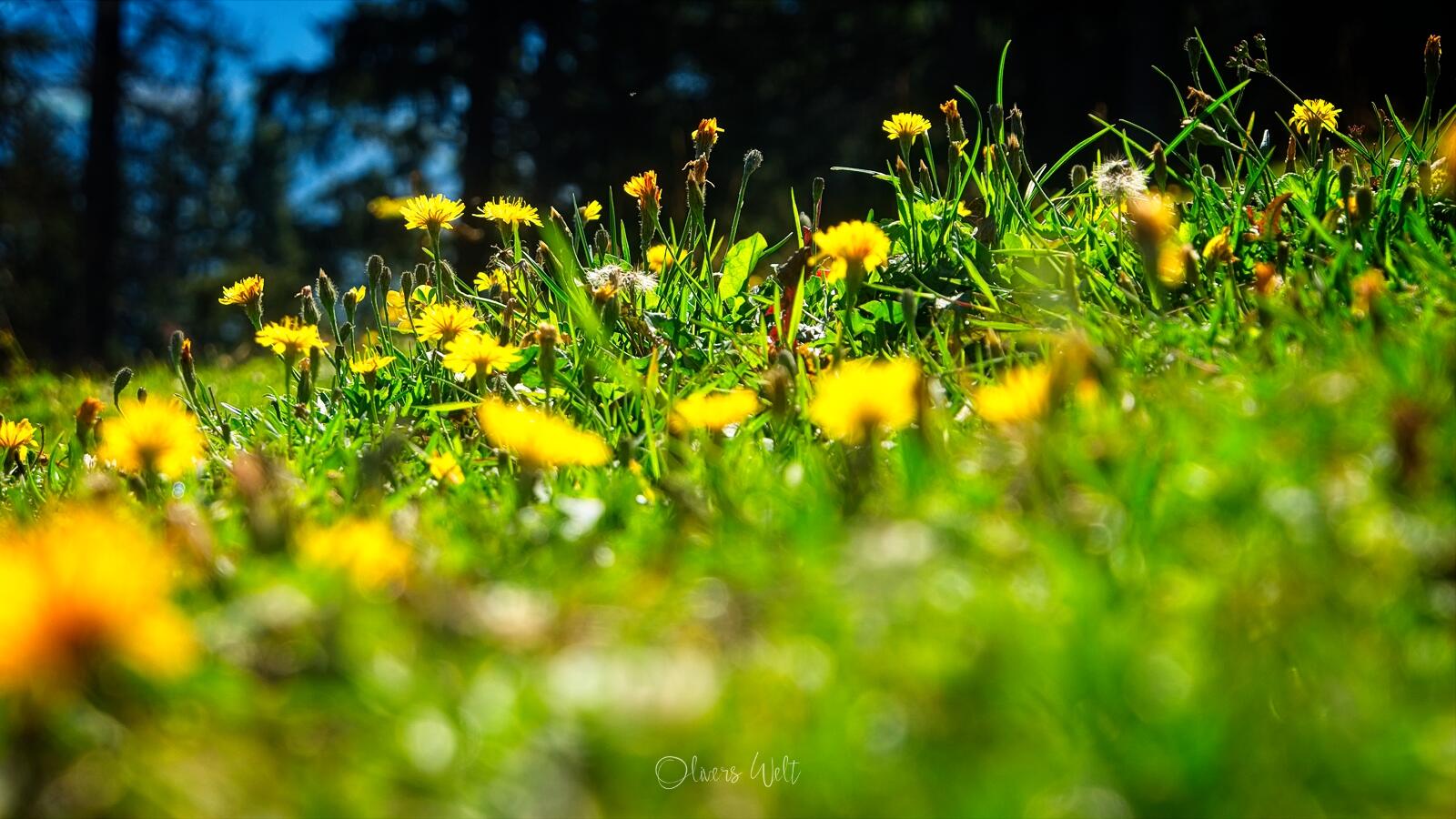 Bild ohne Beschreibung Bild ohne Beschreibung