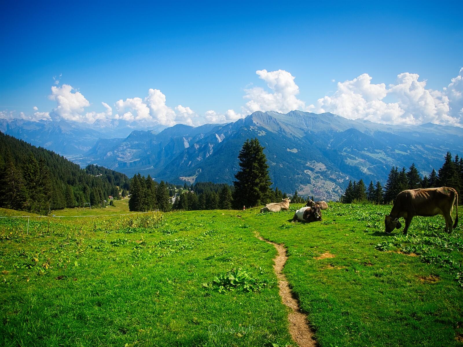 Bild ohne Beschreibung Bild ohne Beschreibung