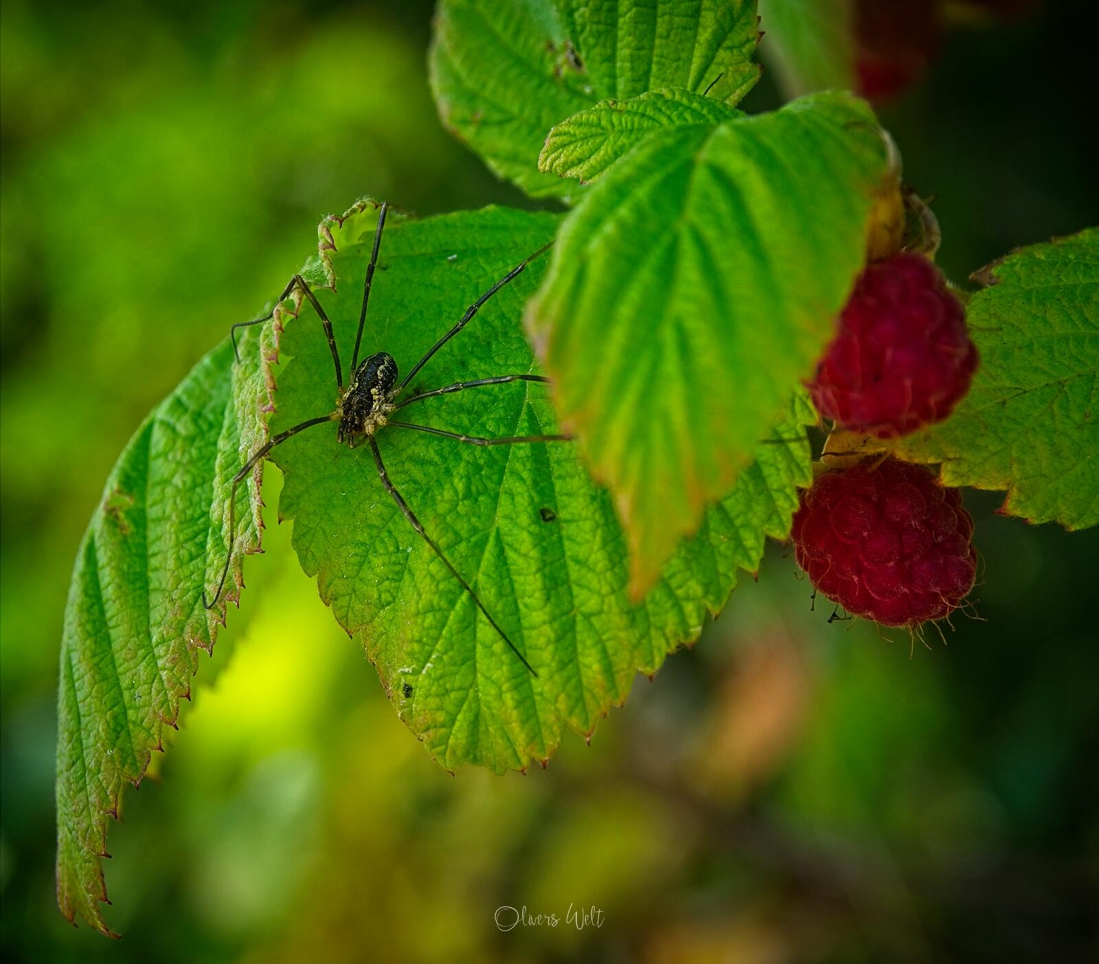 Bild ohne Beschreibung