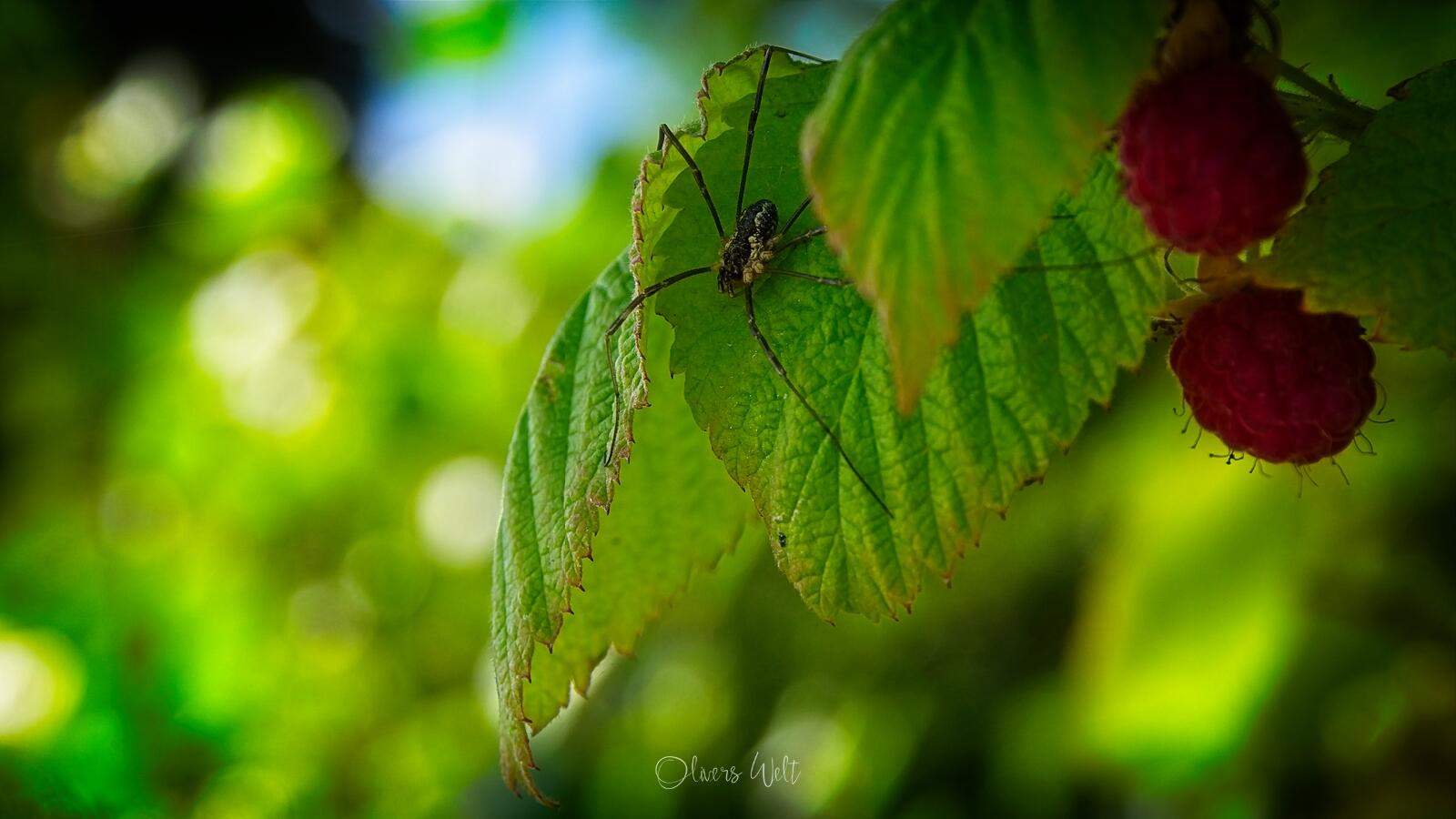 Bild ohne Beschreibung